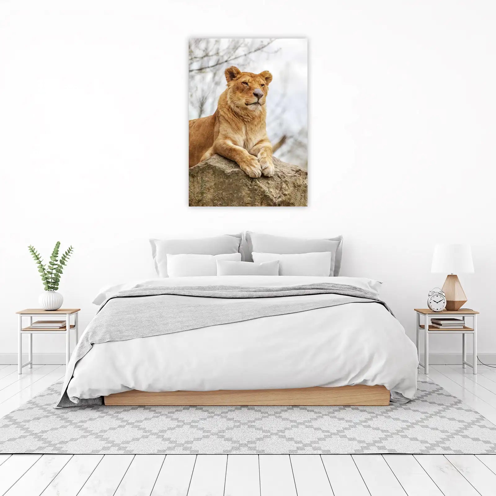 Majestic Lioness Resting on Rock Wall Art