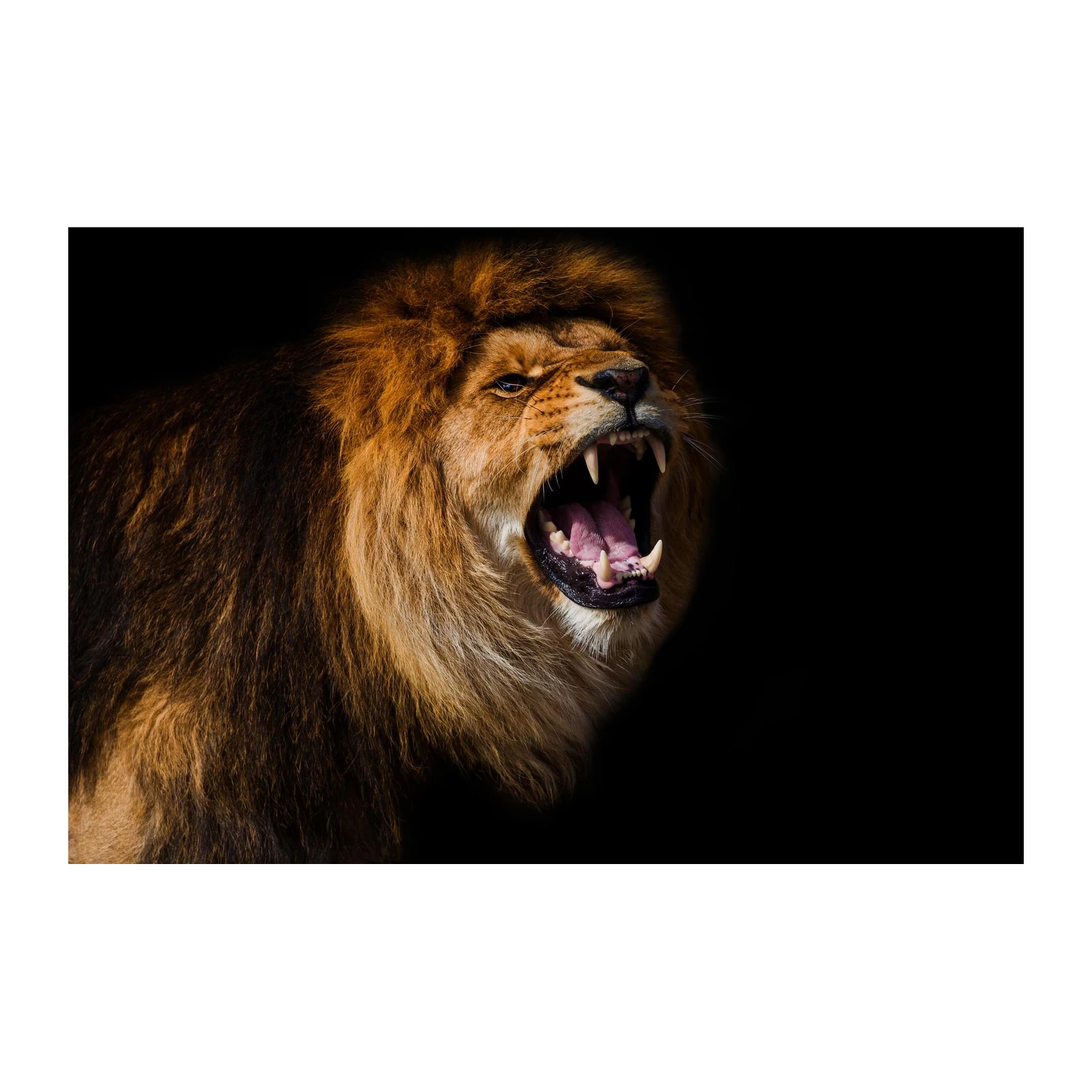 Majestic Roaring Lion Wall Art - Power & Elegance