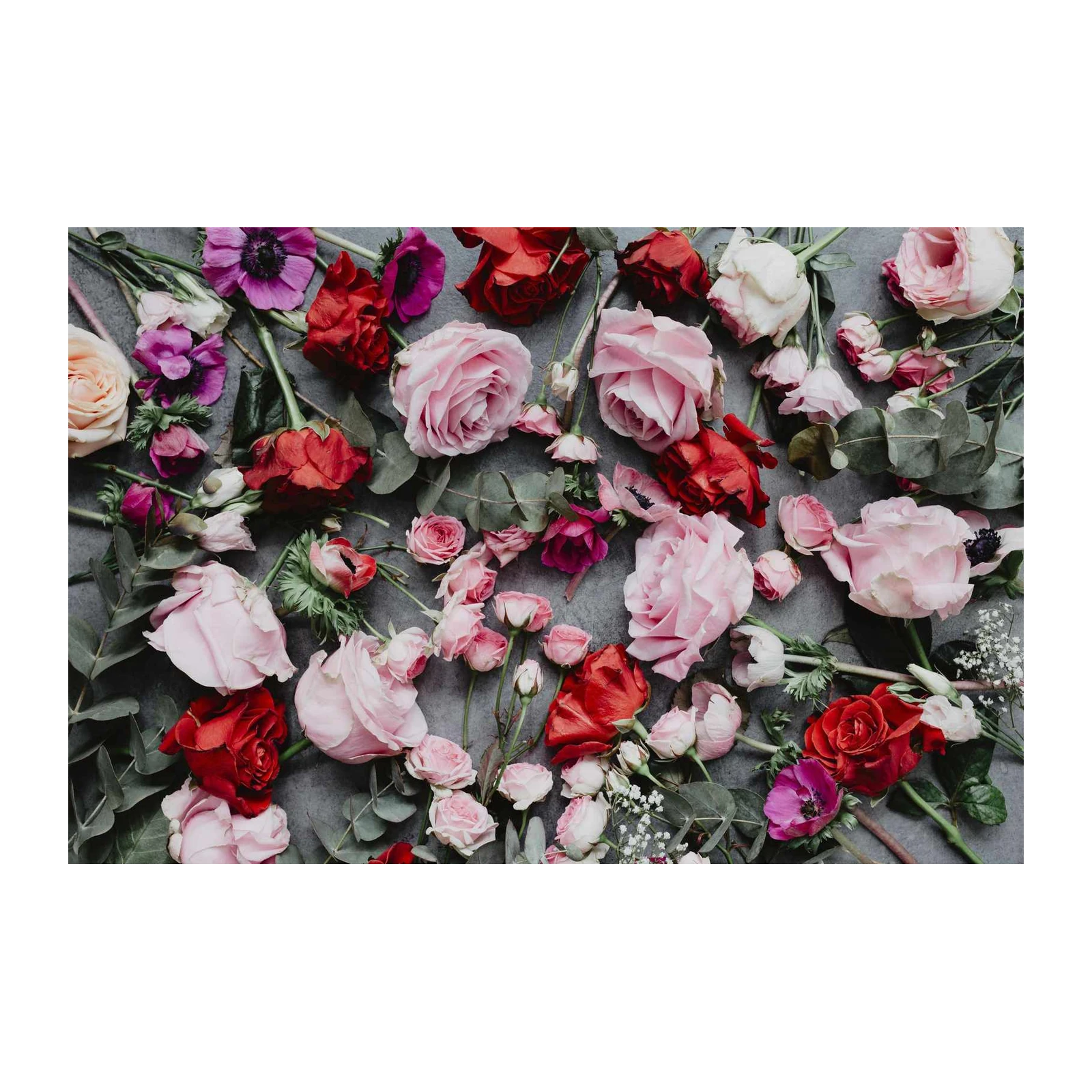 Romantic Rose & Anemone Floral Wall Art