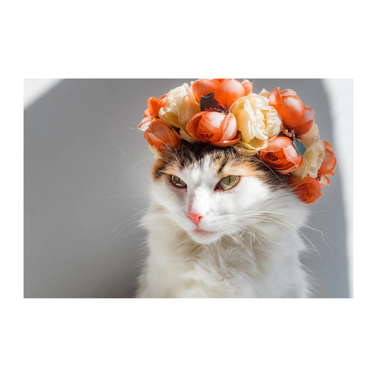 Whimsical Floral Cat Portrait Wall Art