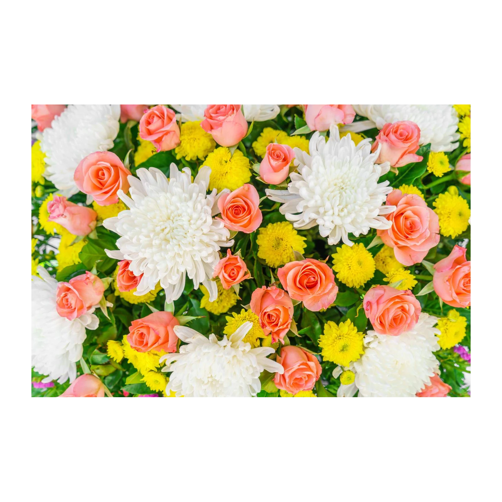 Elegant Peach Roses & White Chrysanthemum Wall Art