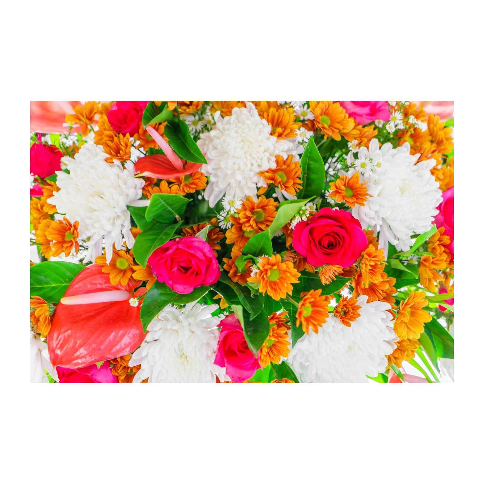 Vibrant Floral Burst Wall Art