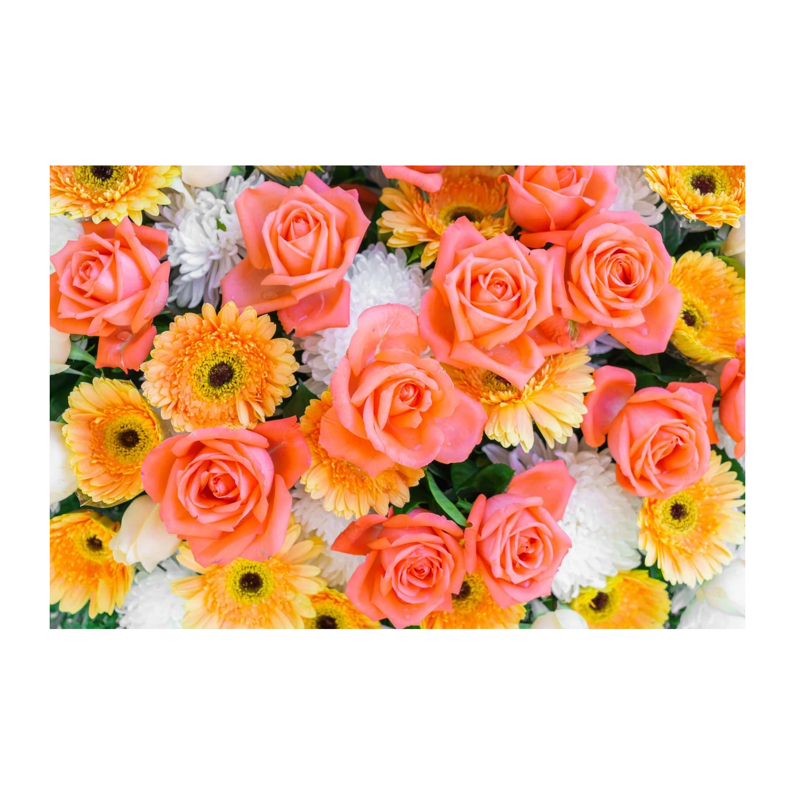 Coral Rose & Daisy Bouquet Wall Art