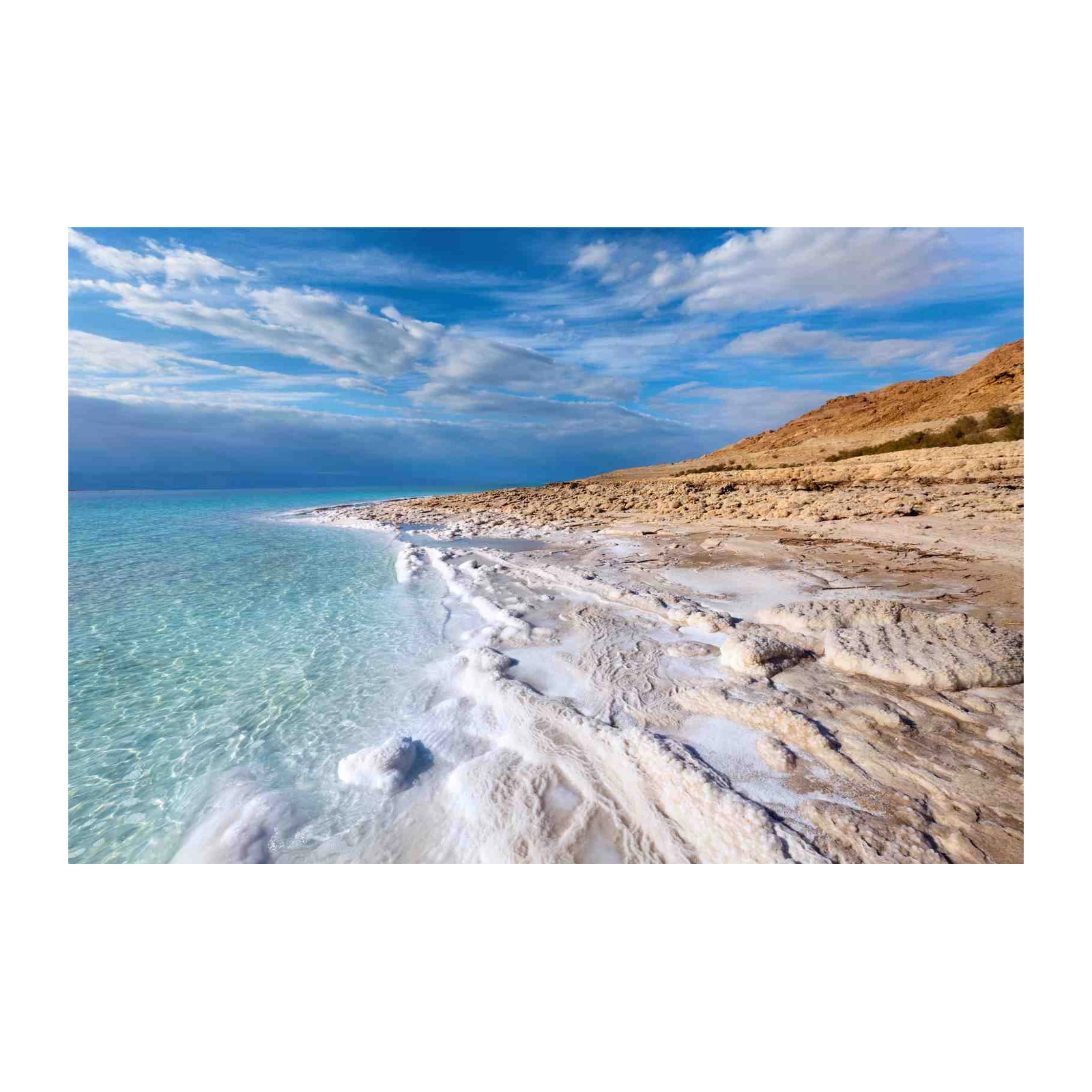 Tranquil Dead Sea Shoreline Wall Art