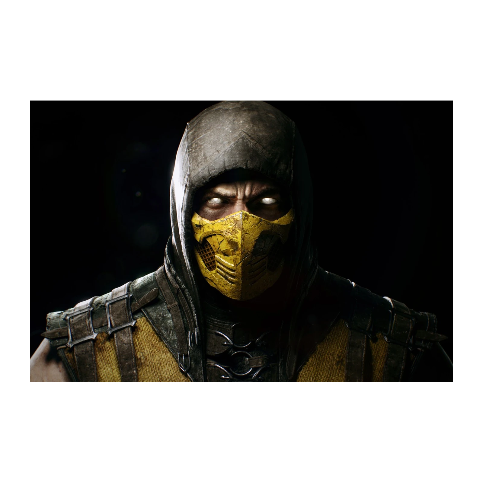 Scorpion's Fury MK Game Character Wall Art