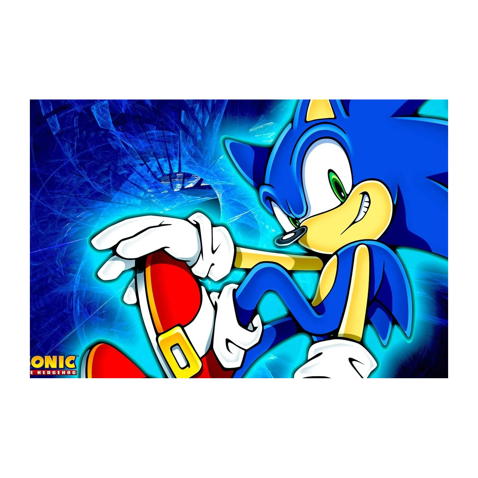Sonic the Hedgehog Speedster Wall Art