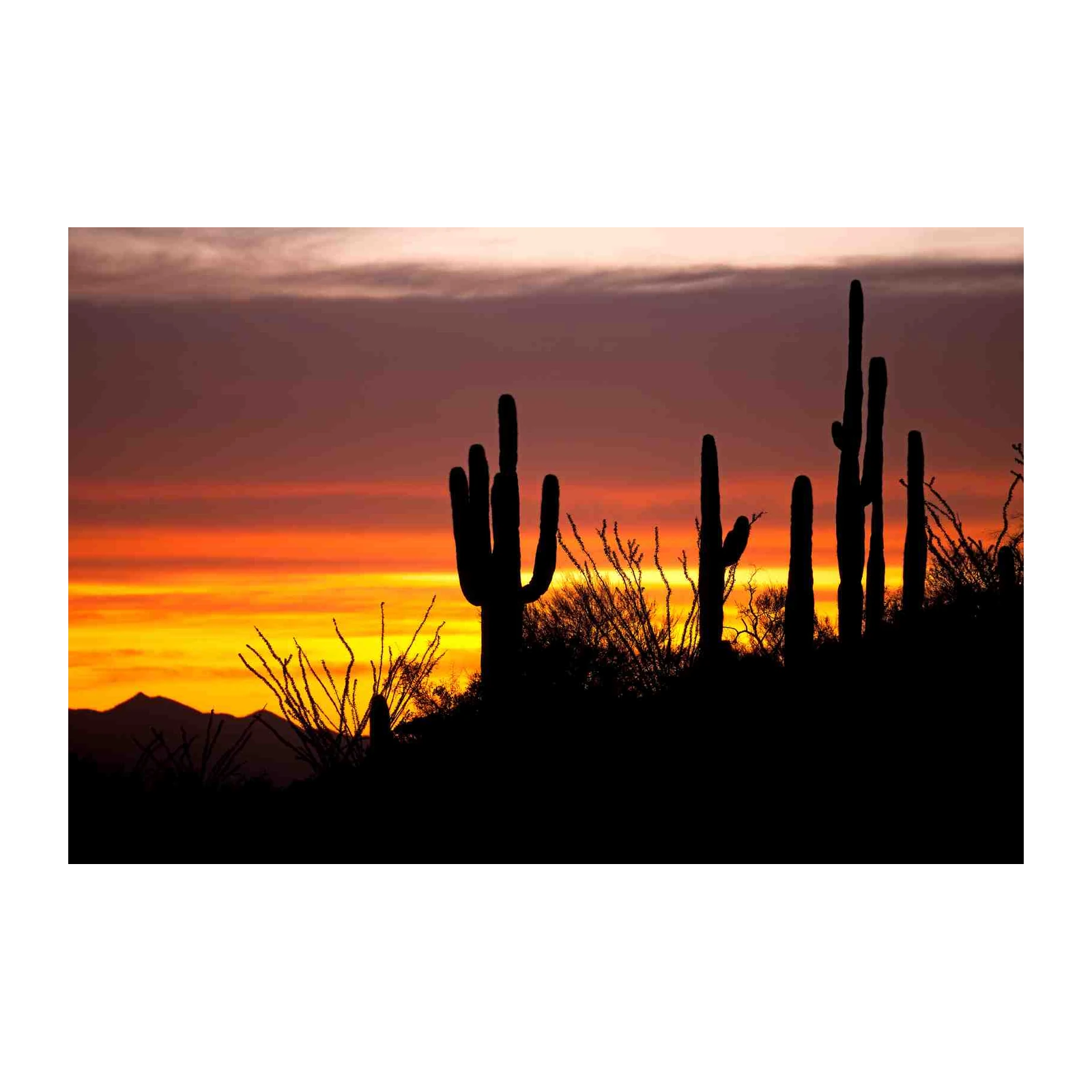 Desert Sunset Saguaro Silhouette Wall Art
