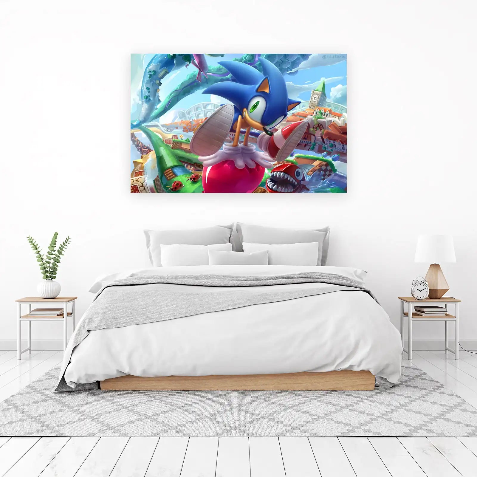 Sonic Adventure Speedster Wall Art
