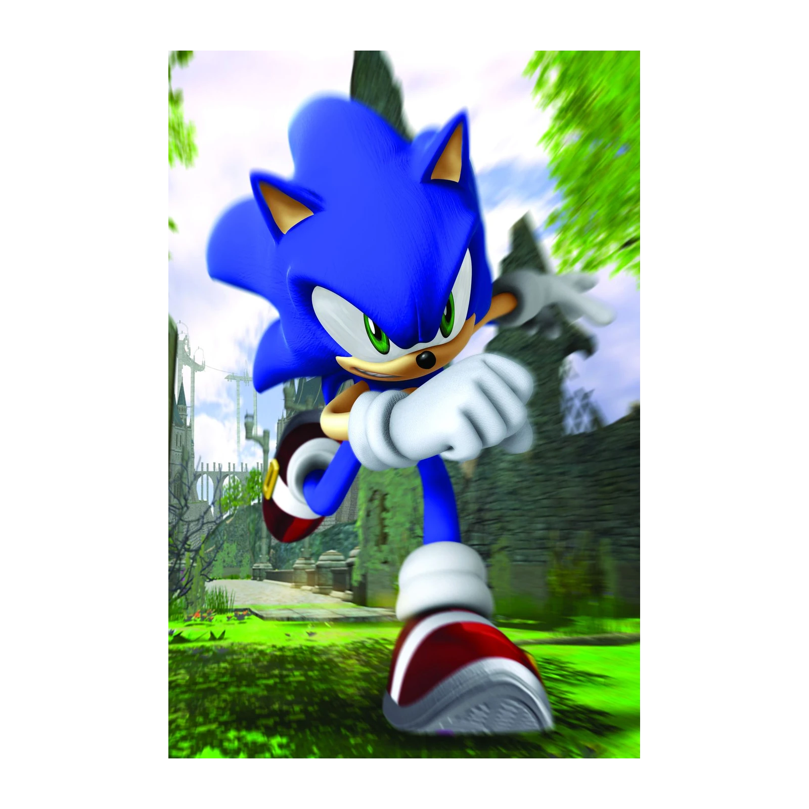 Sonic the Hedgehog Speed Wall Art