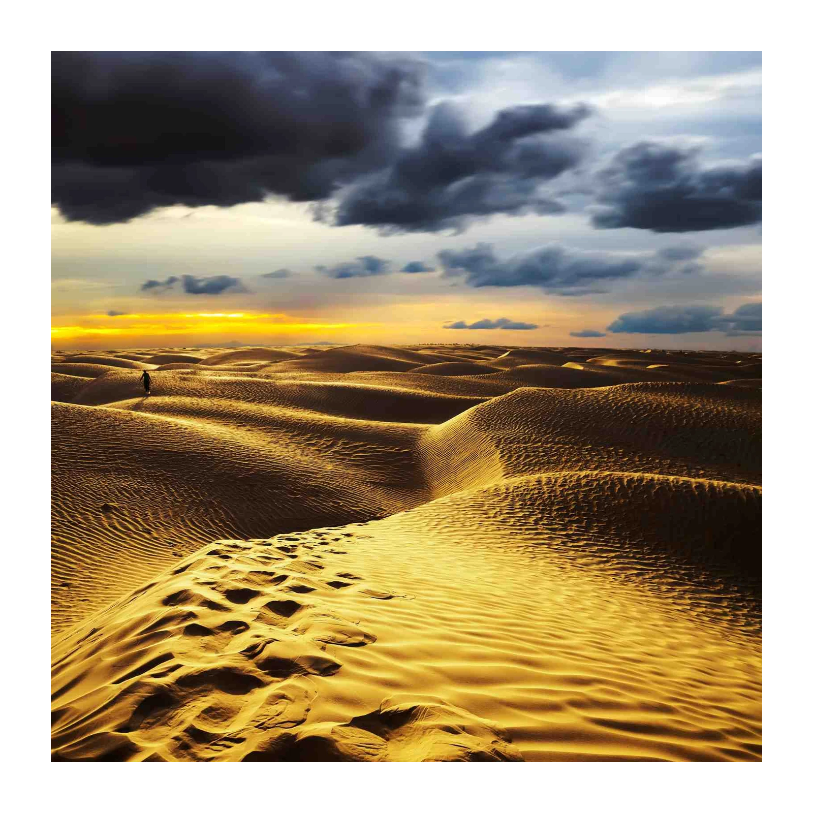 Golden Desert Dunes Serenity Wall Art