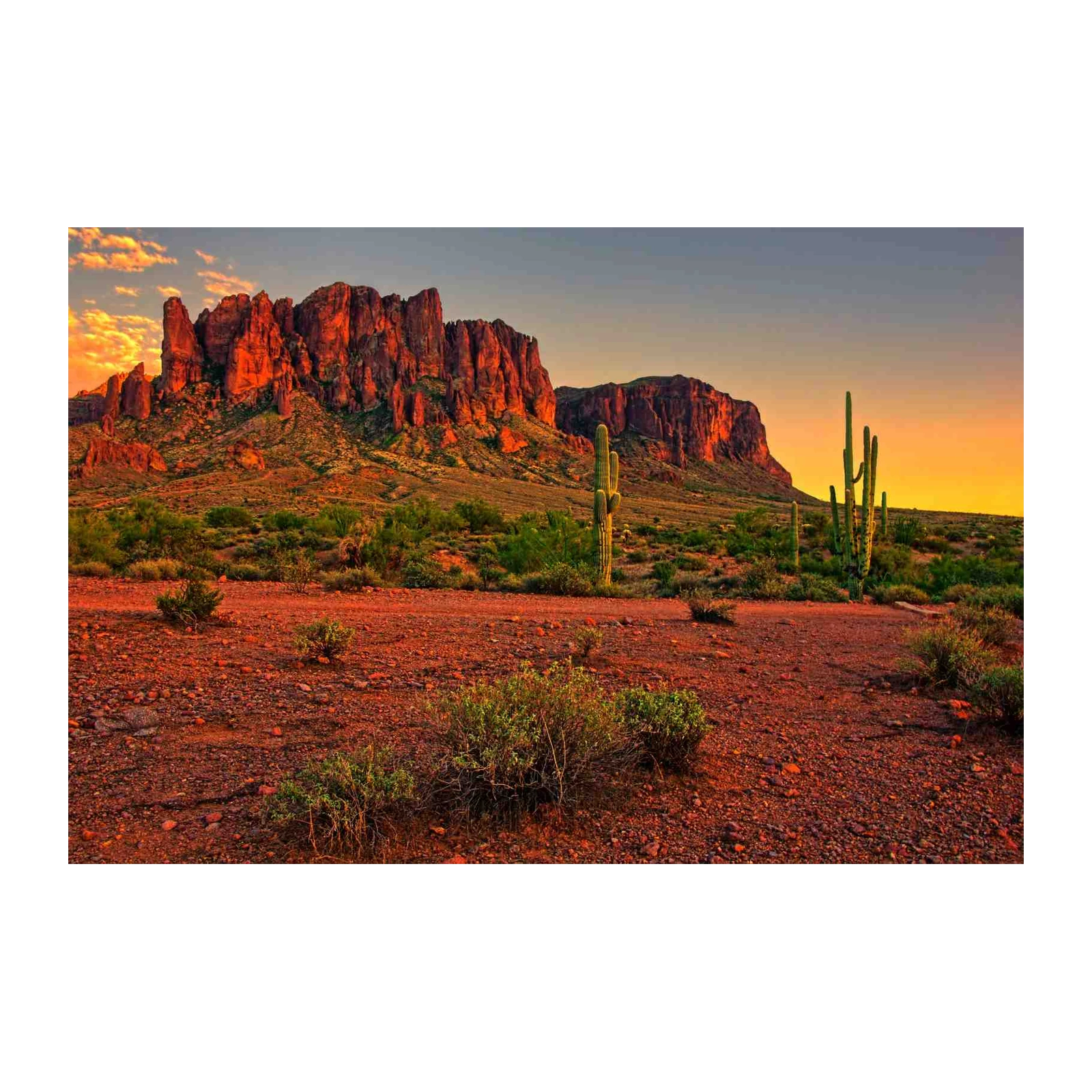 Desert Sunset Saguaro Canyon Wall Art