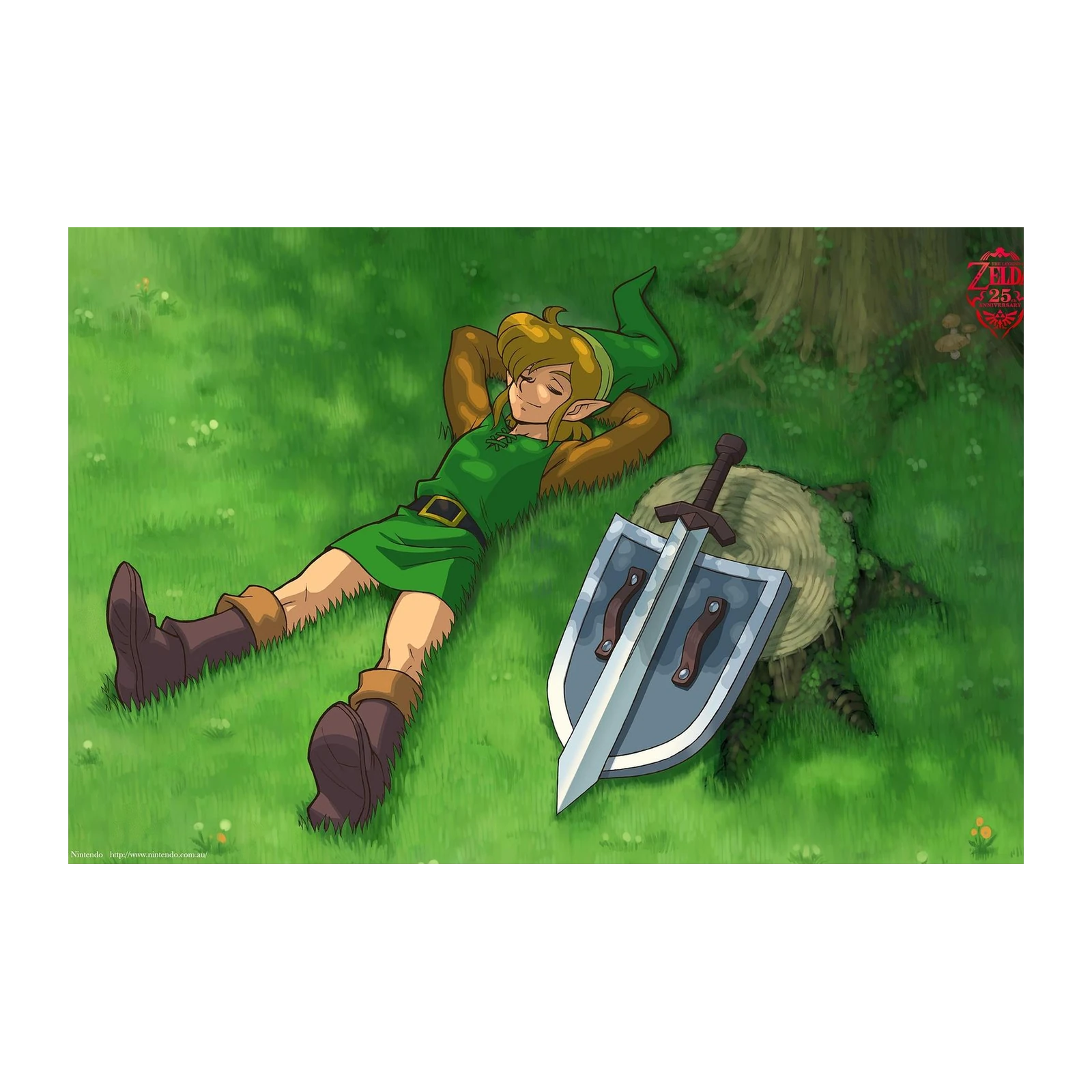 Link's Peaceful Slumber Legend of Zelda Wall Art