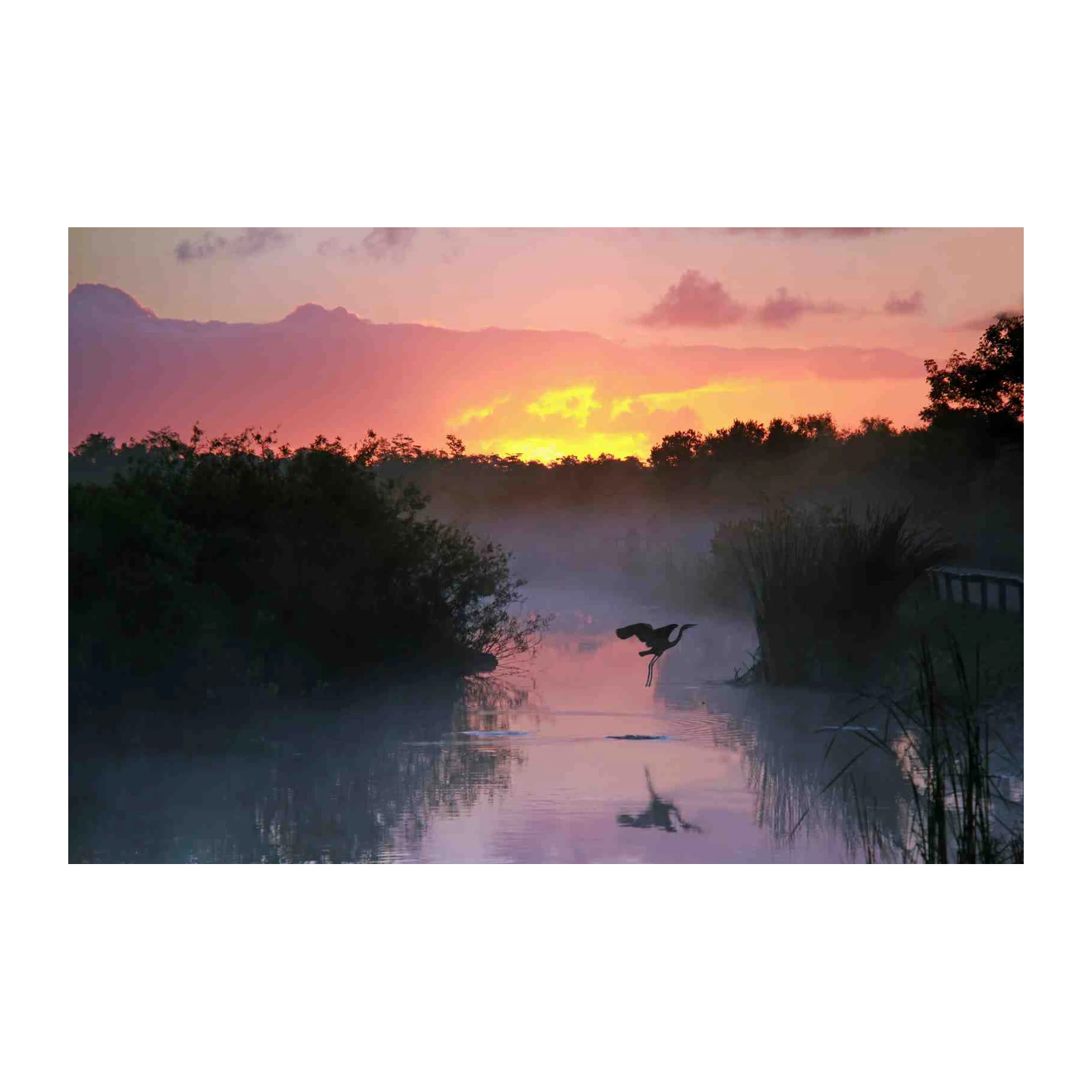 Serene Heron Sunset Wildlife Wall Art