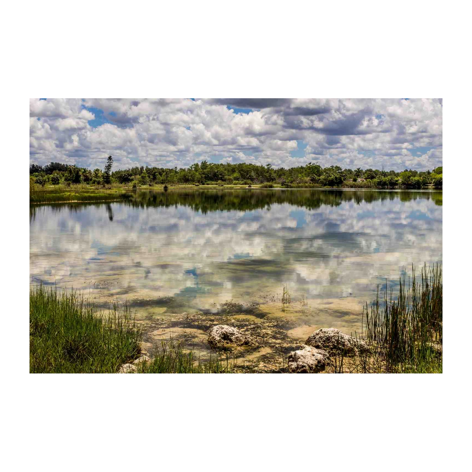 Serene Lake Reflection Wall Art