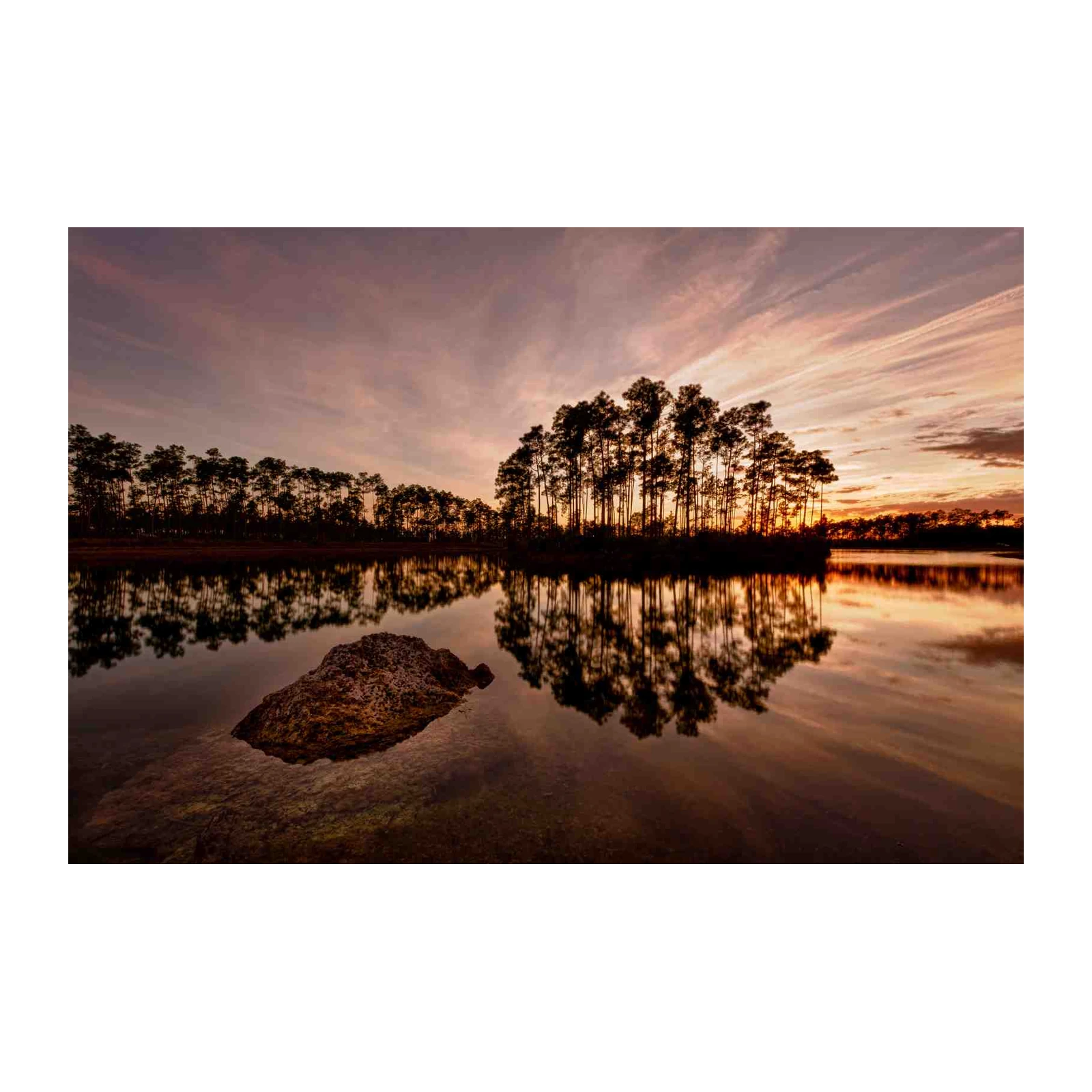 Serene Sunset Lake Trees Wall Art