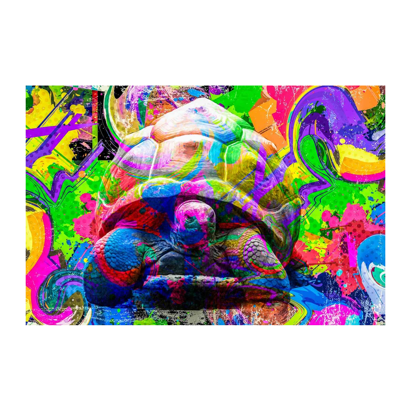 Vibrant Psychedelic Turtle Wall Art