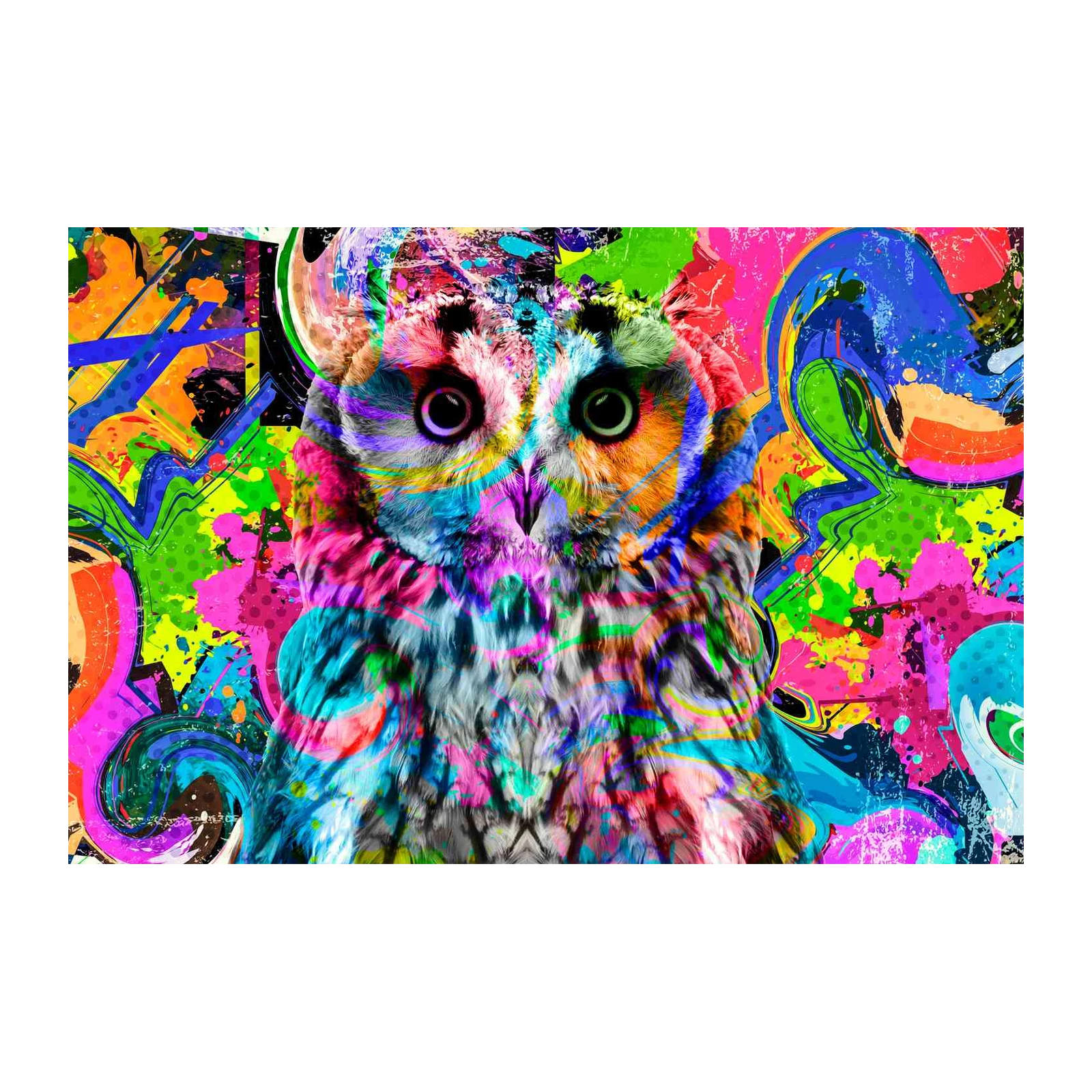 Vibrant Owl Graffiti Art Wall Art