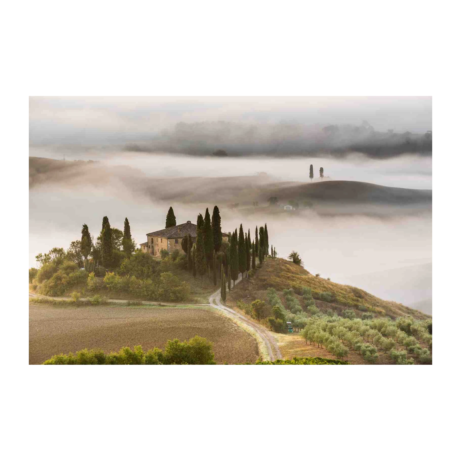 Tuscan Estate Foggy Morning Wall Art
