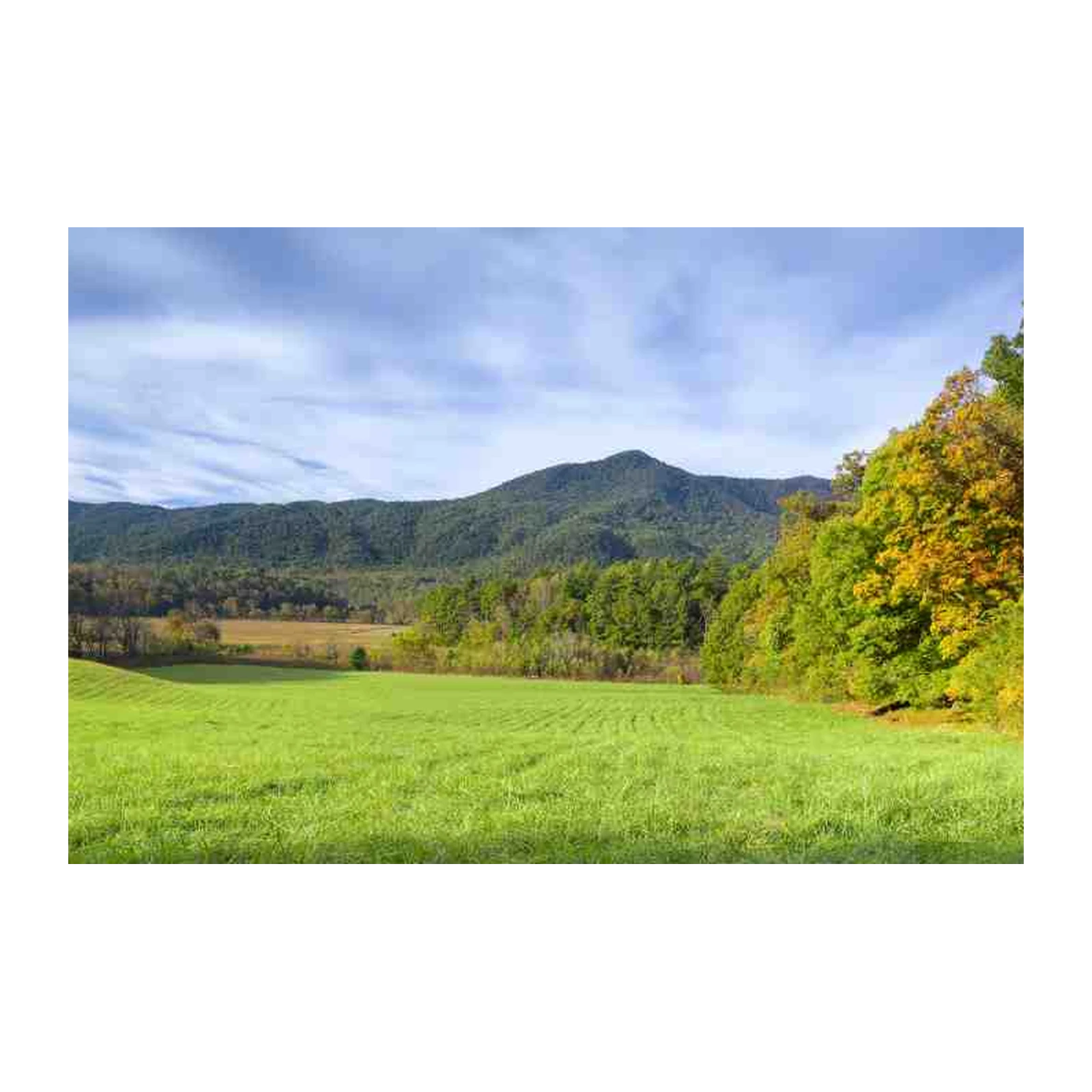 Rolling Hills Autumn Mountain Landscape Wall Art