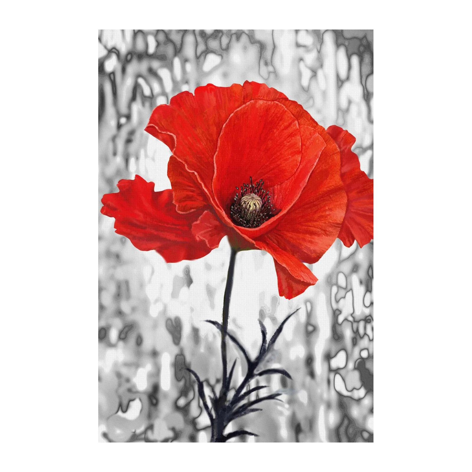 Vibrant Red Poppy 'Life's Burst' Wall Art