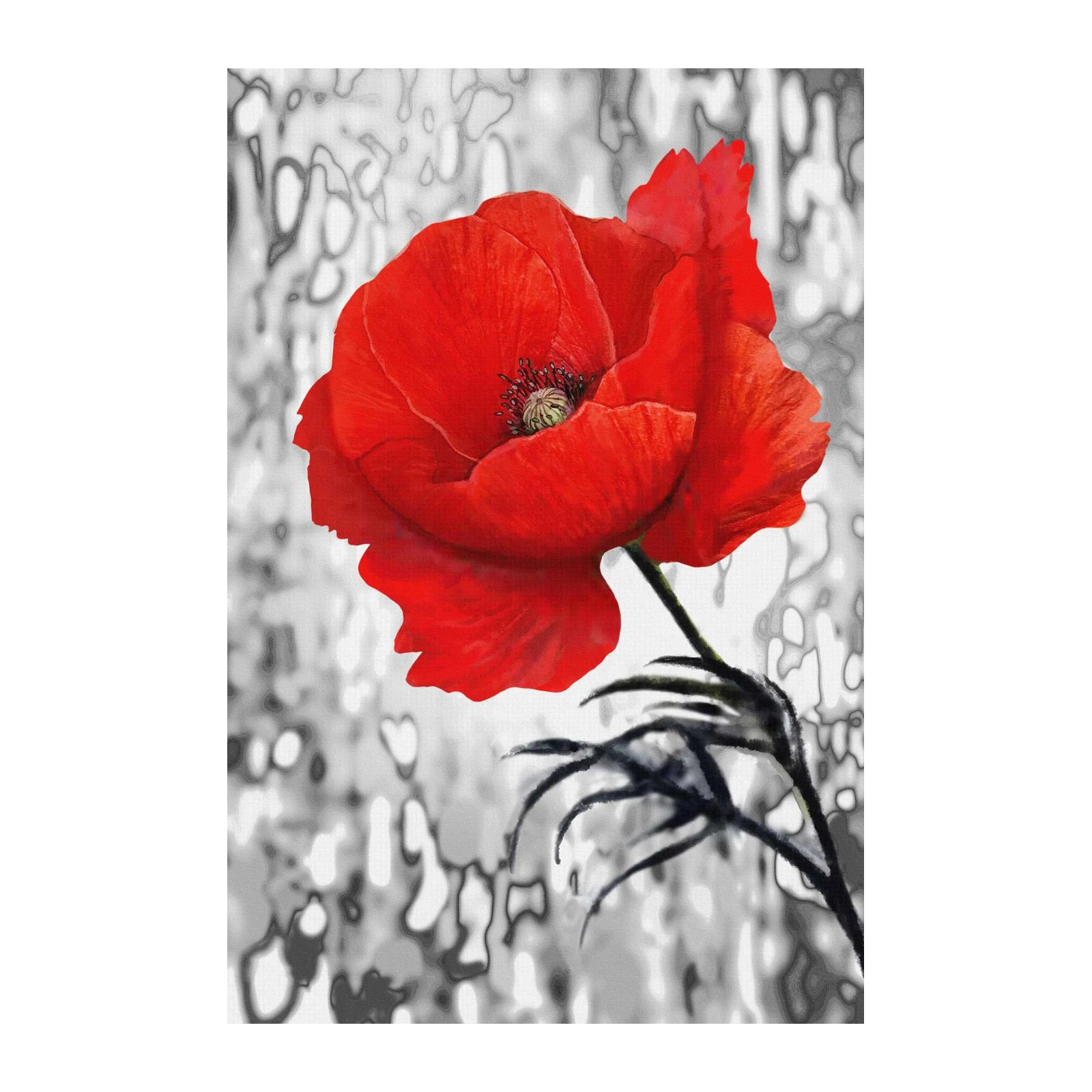 Vibrant Red Poppy Artistic Wall Art