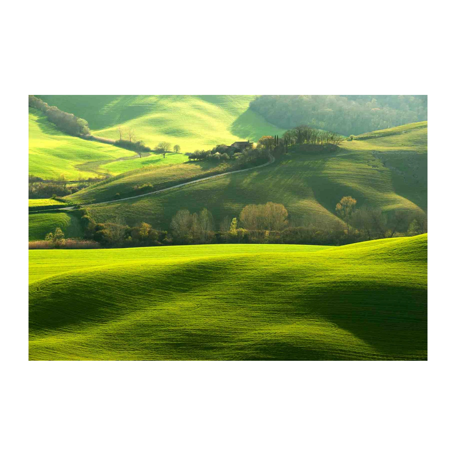 Tuscan Rolling Hills Landscape Wall Art