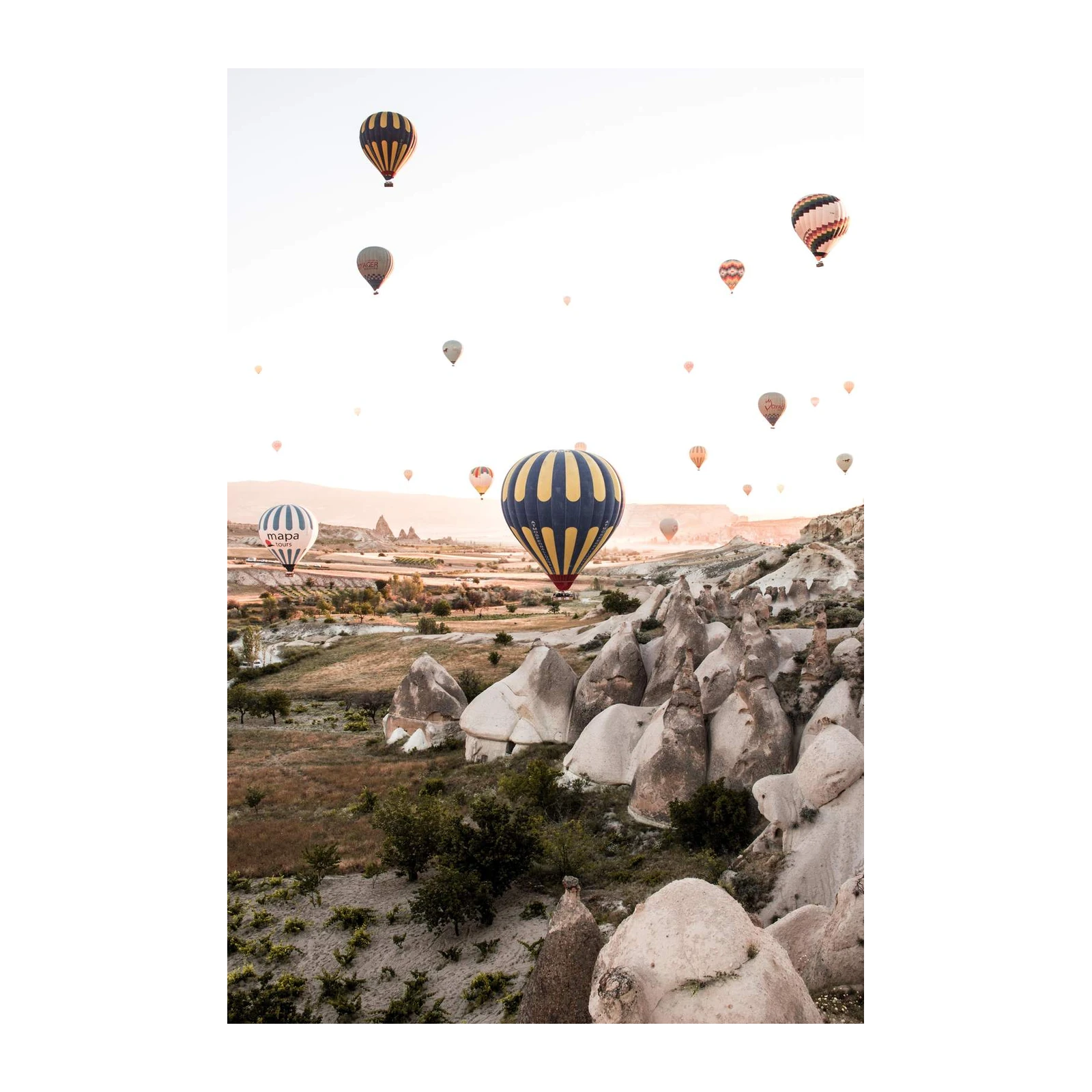 Cappadocia Hot Air Balloons Wall Art