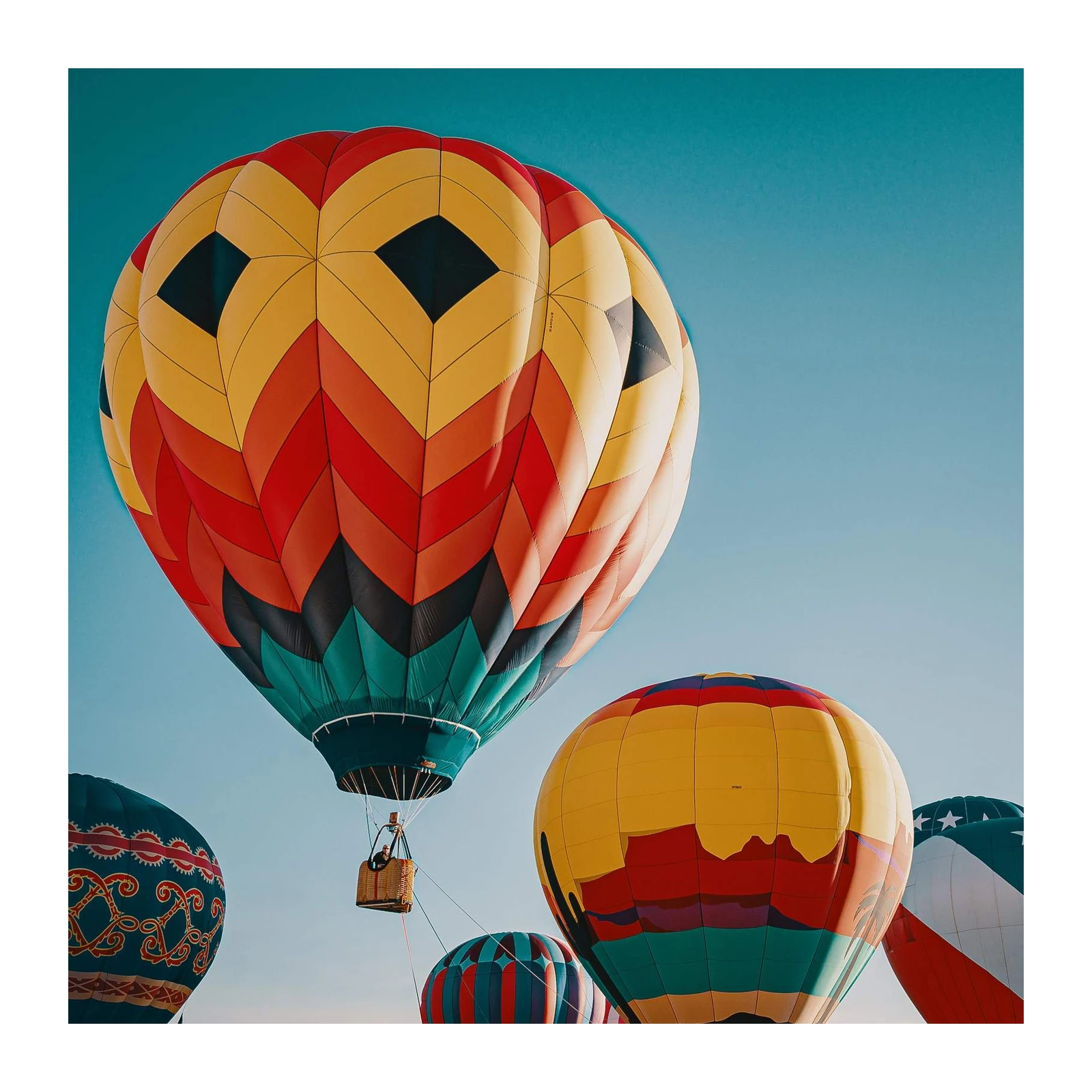 Vibrant Hot Air Balloons Wall Art