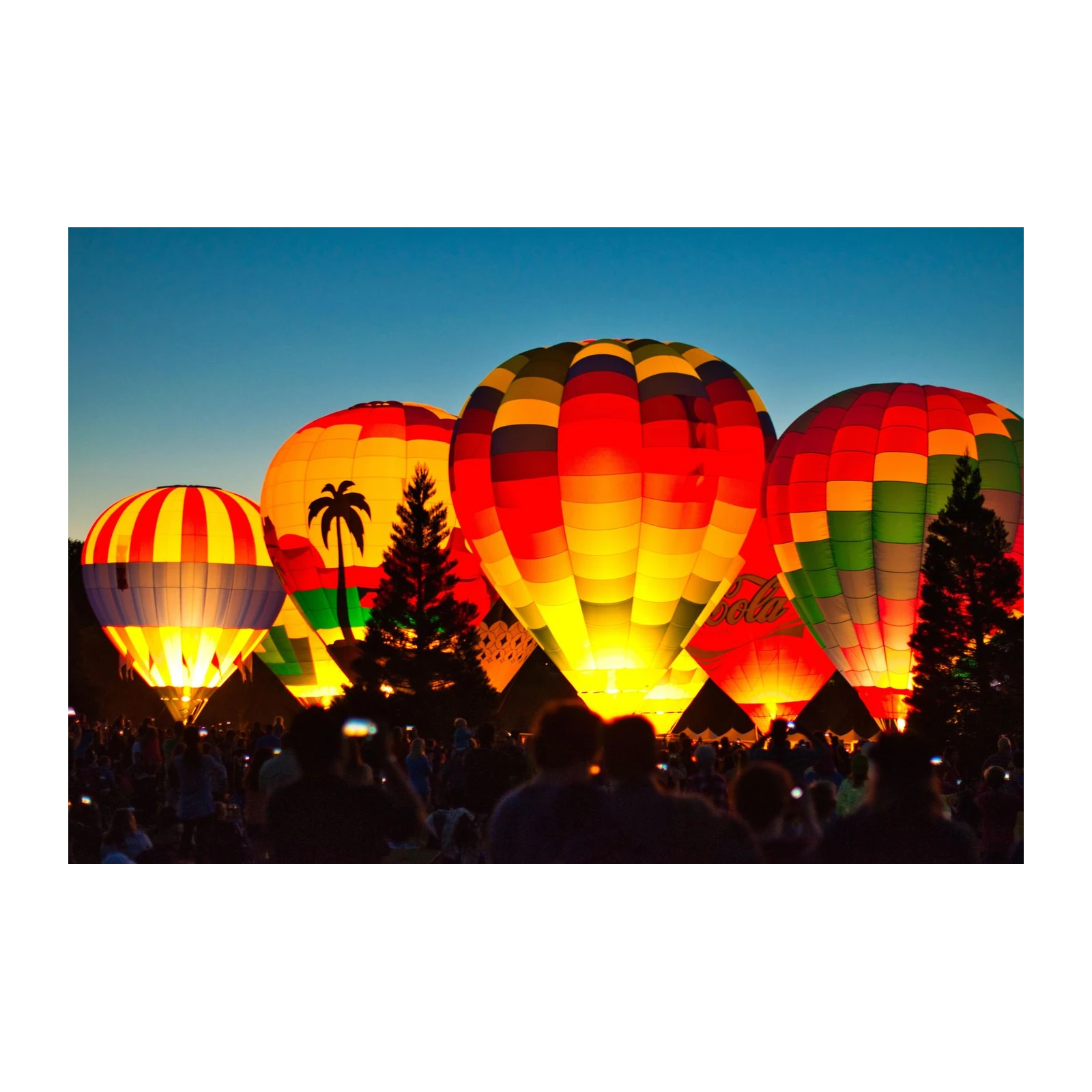 Vibrant Hot Air Balloon Festival Wall Art