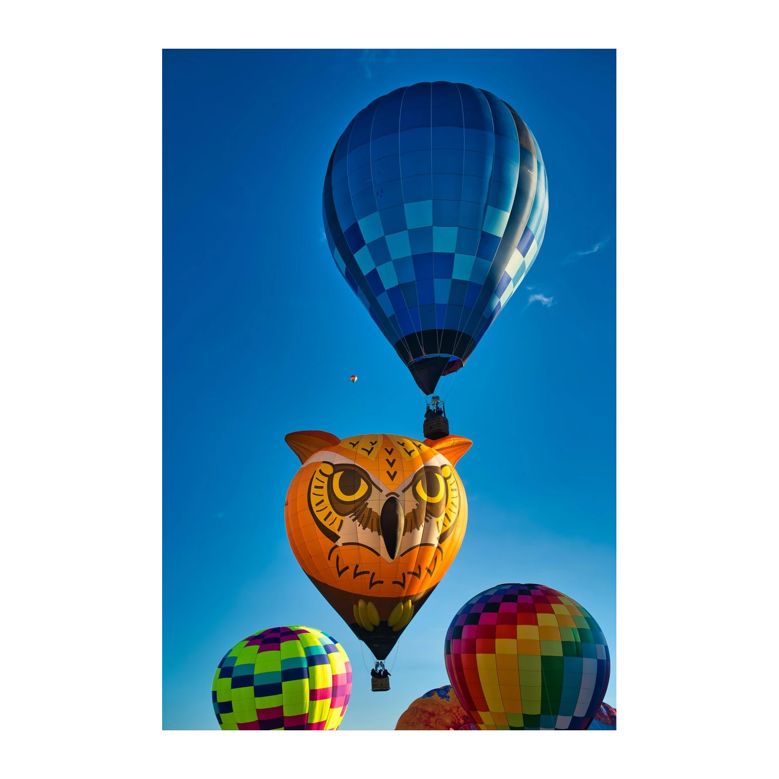 Whimsical Owl & Sky Balloons Wall Art