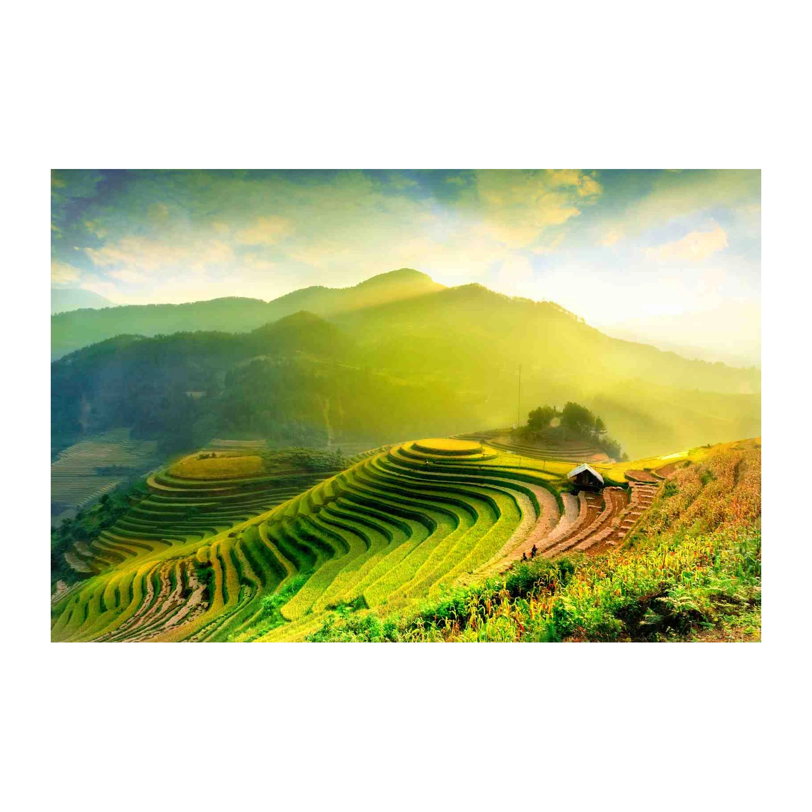 Serene Rice Terraces Landscape Wall Art