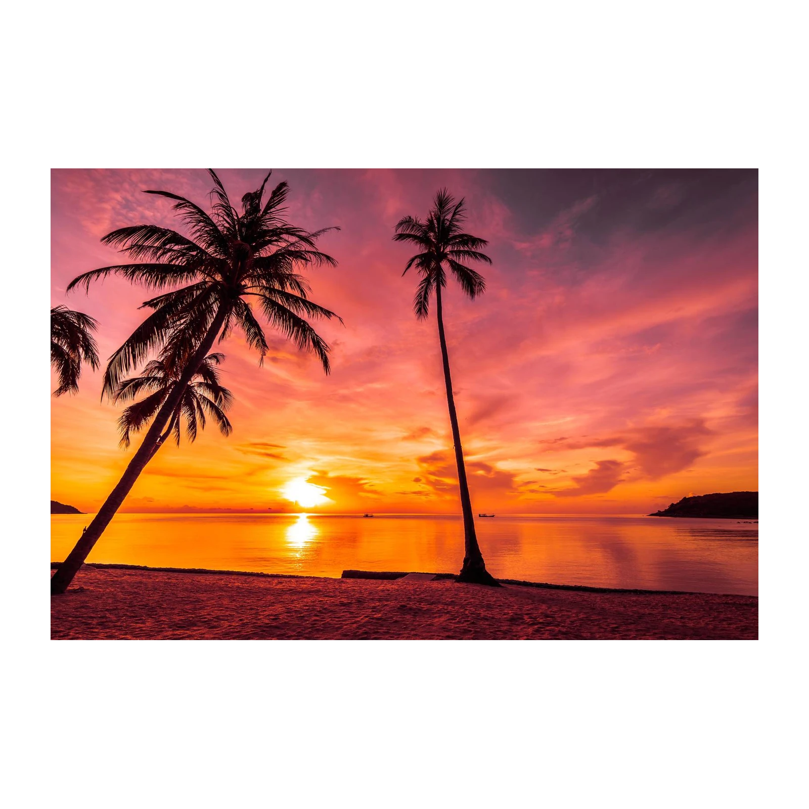Tropical Sunset Palm Beach Wall Art
