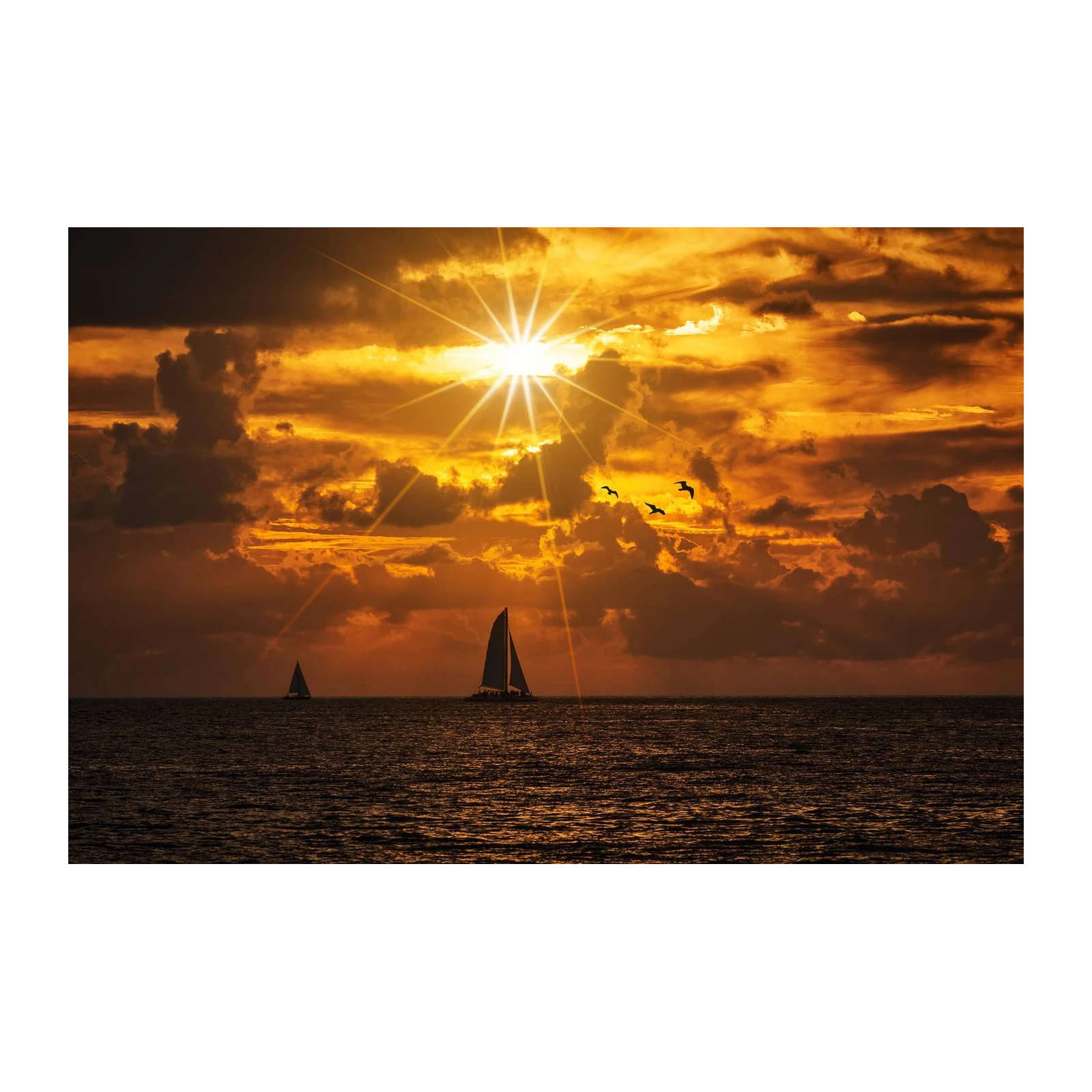 Golden Sunset Sailboat & Seagulls Wall Art