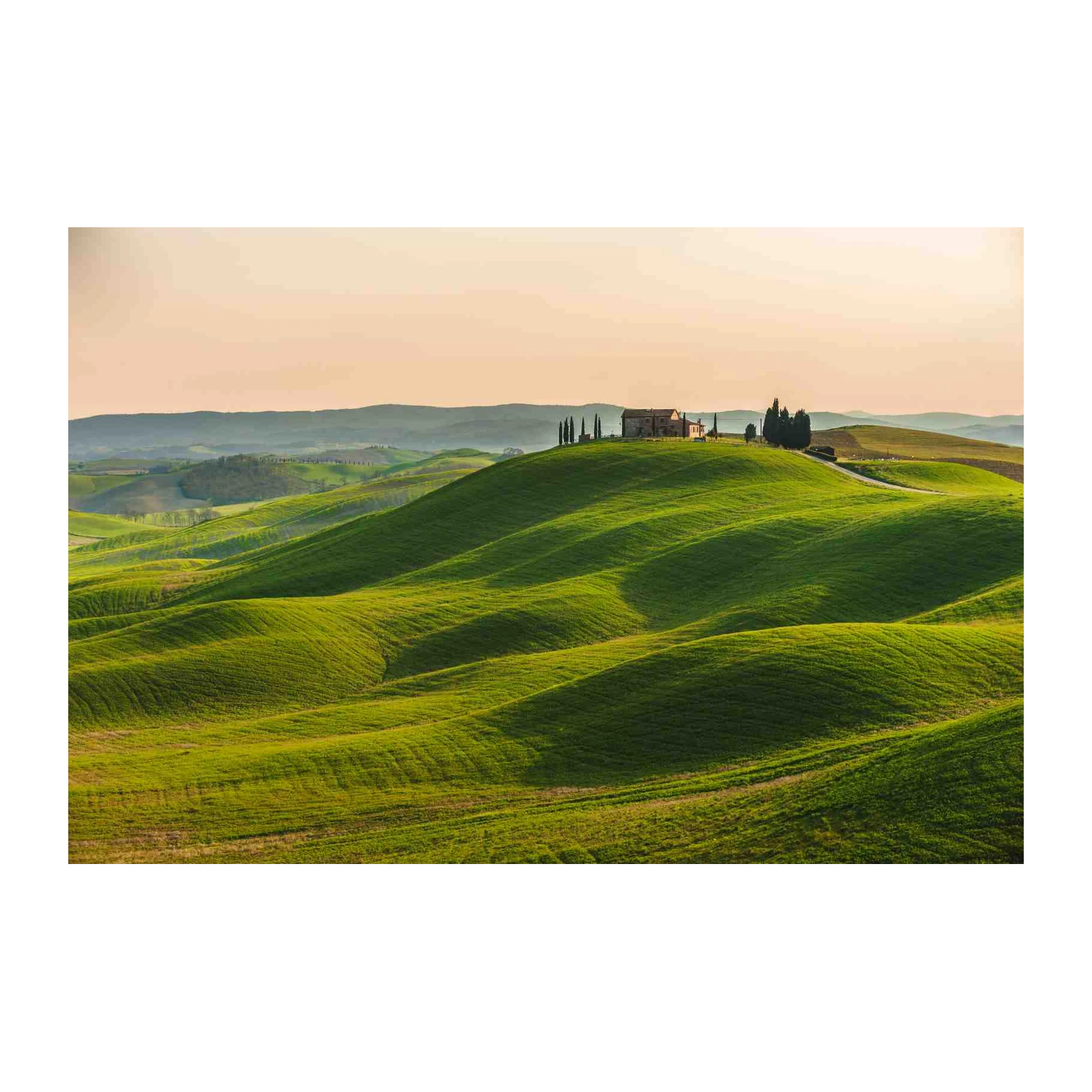 Tuscan Rolling Hills Landscape Wall Art