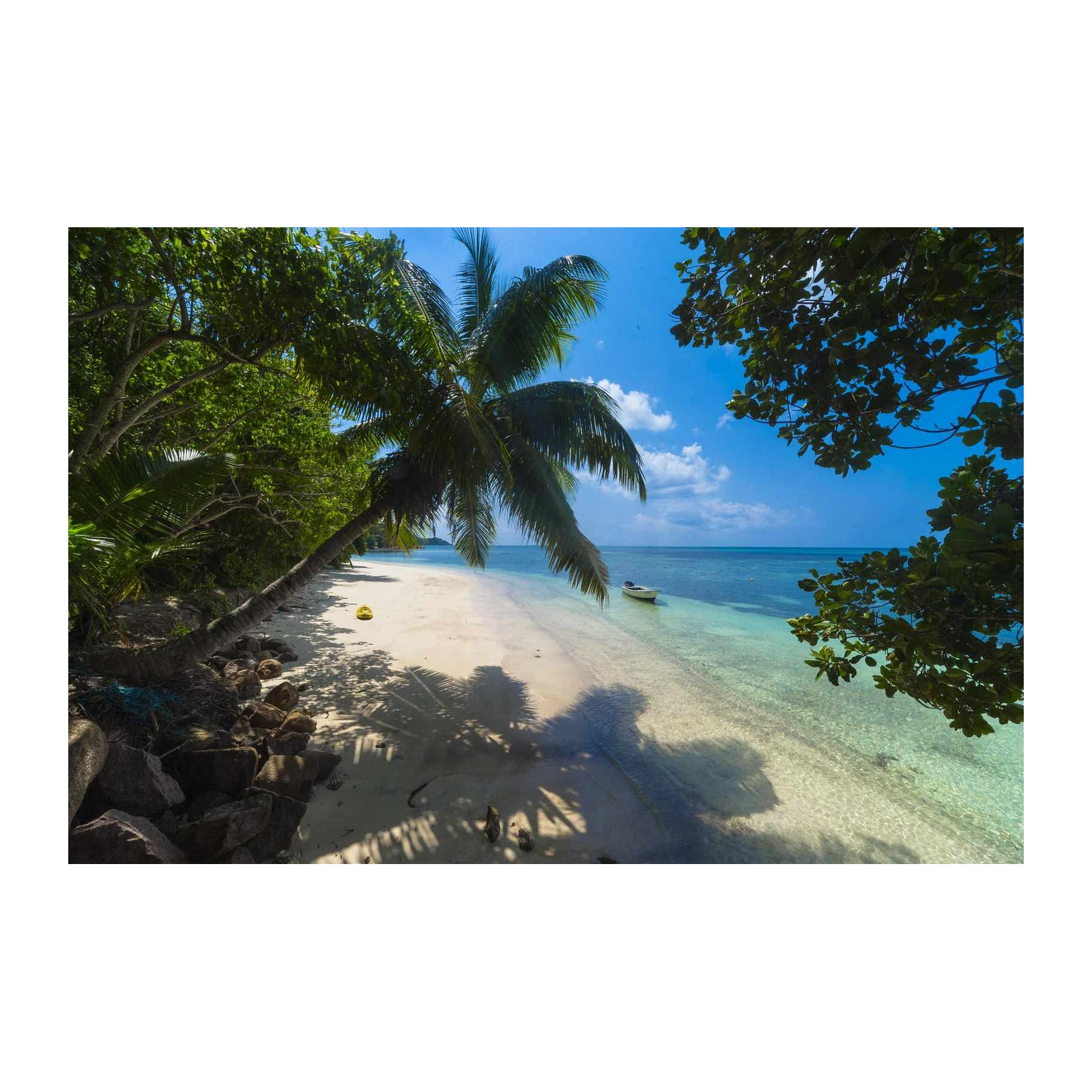 Tropical Beach Serenity Palm Tree Wall Art