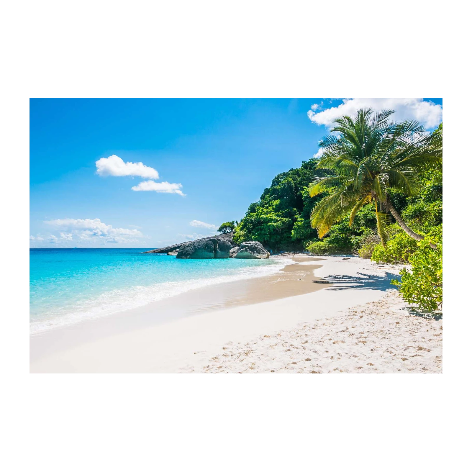 Tropical Paradise Beach Serenity Wall Art