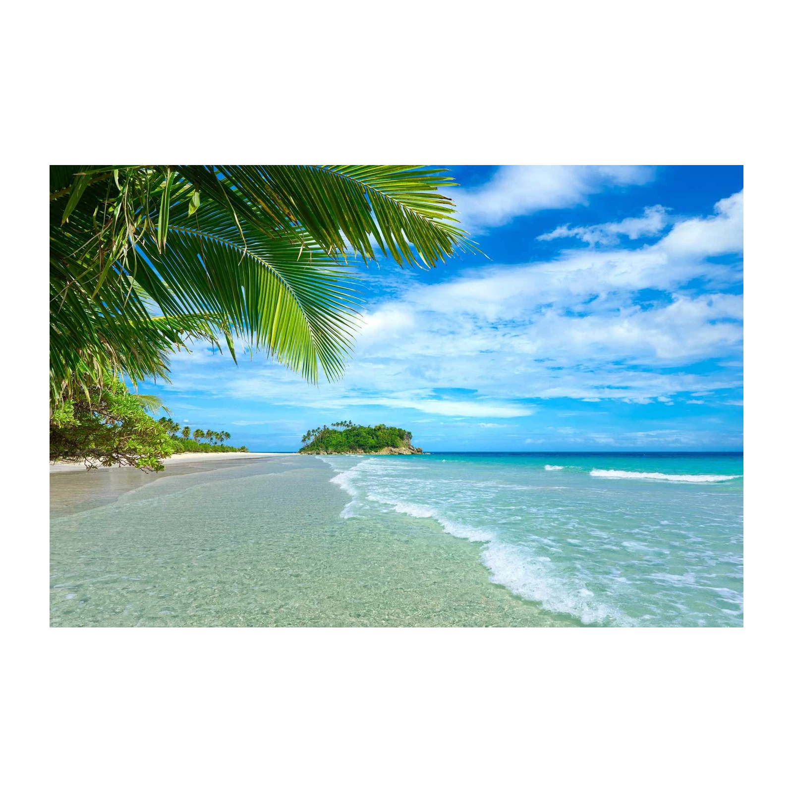 Tropical Paradise Beach Palm Wall Art