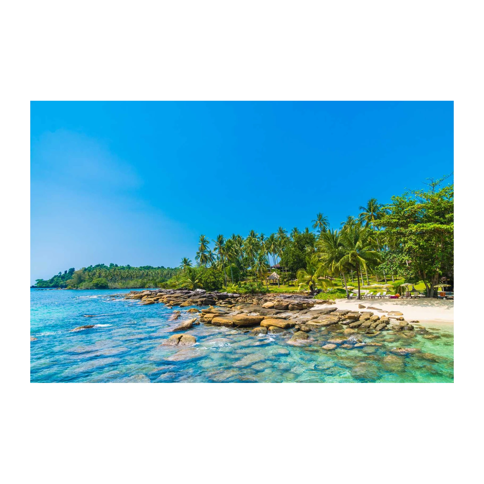 Tropical Paradise Beach Palm Trees Wall Art