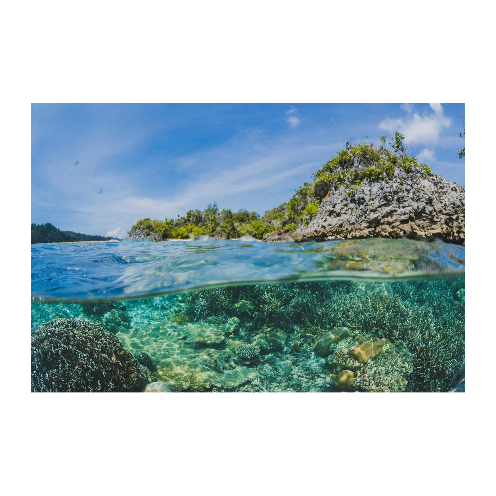 Tropical Paradise Split-Level Ocean Wall Art