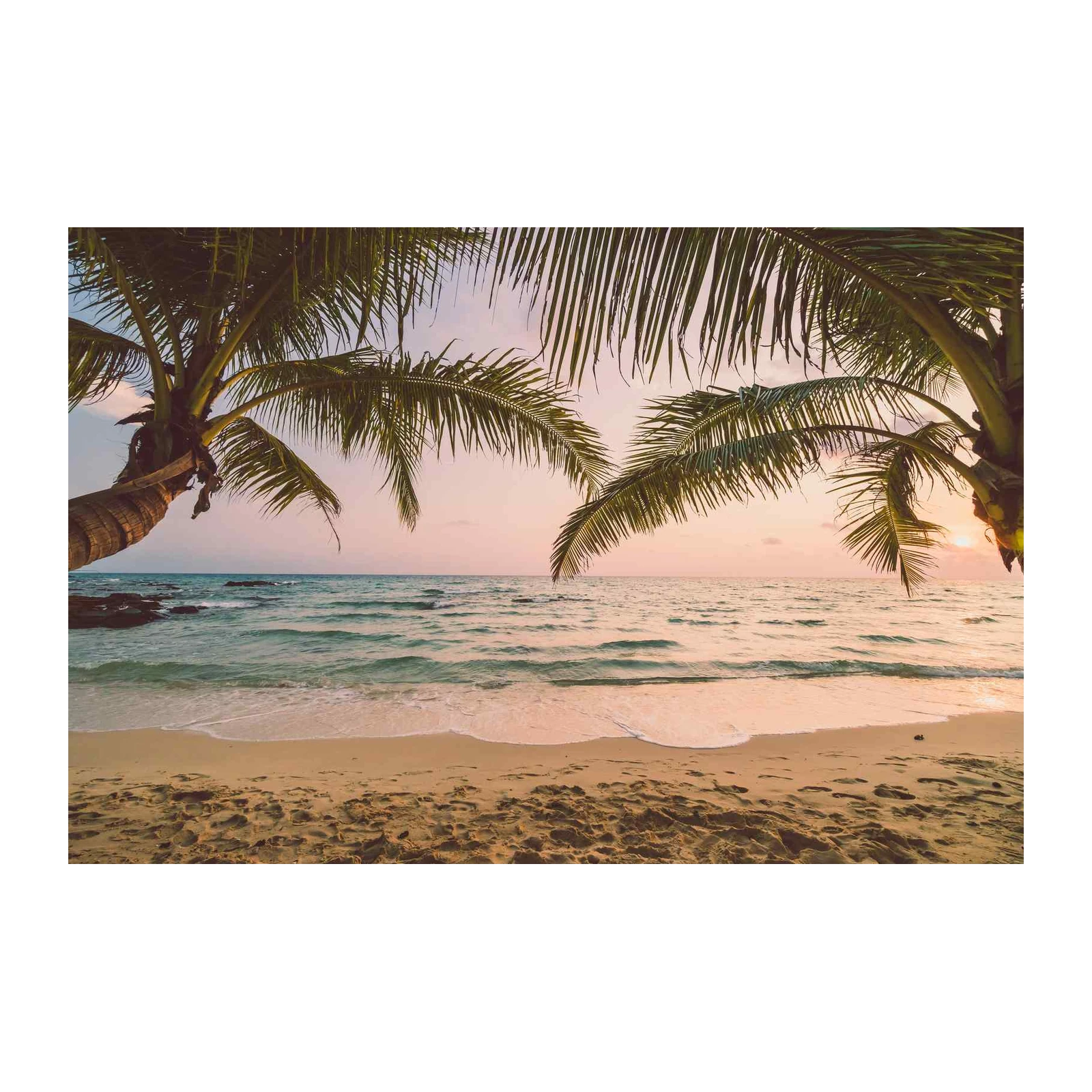 Tranquil Palm Beach Sunset Wall Art