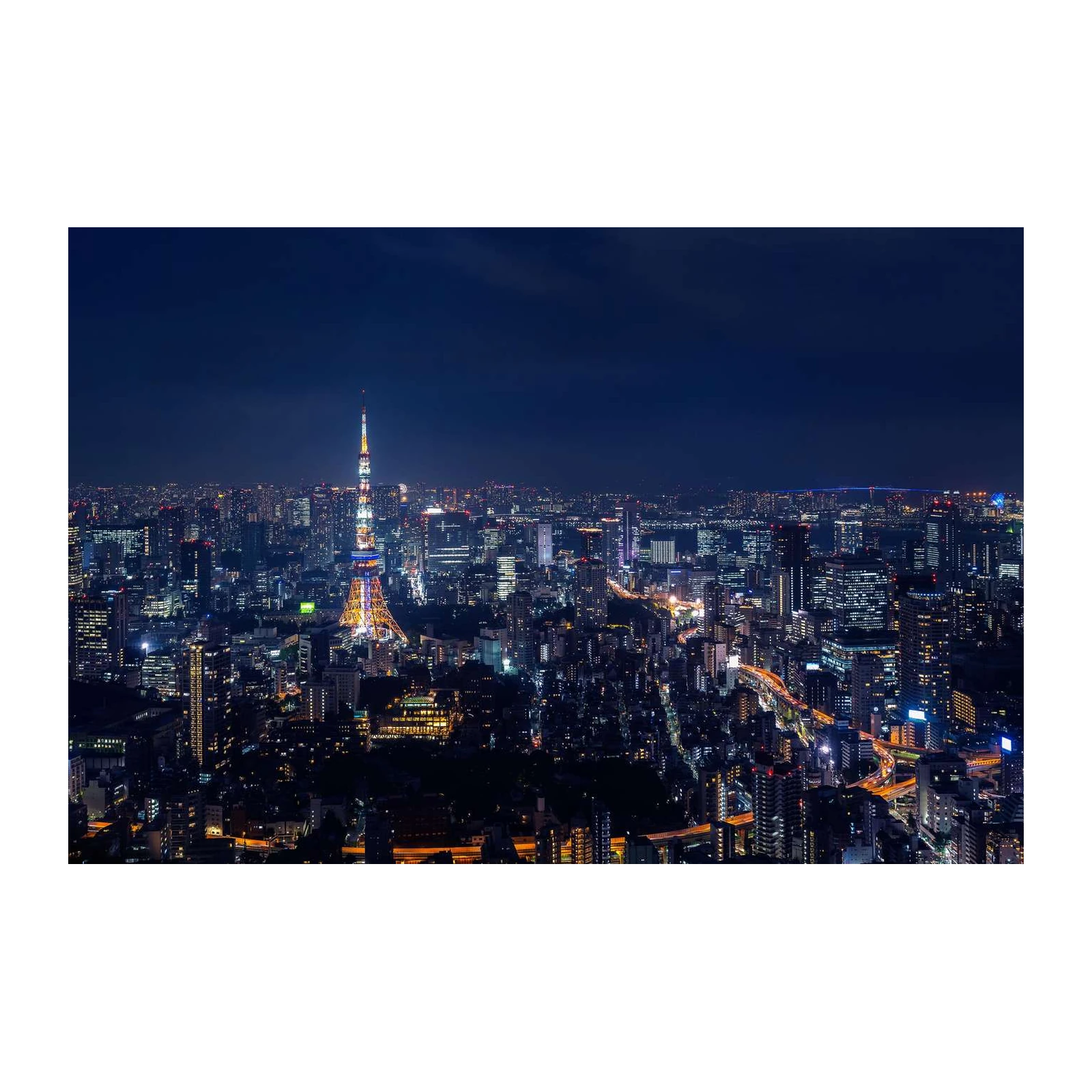 Tokyo Cityscape at Night Wall Art