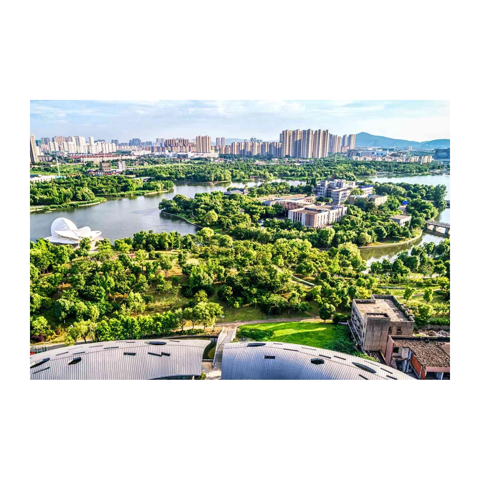 Urban Oasis Landscape Wall Art