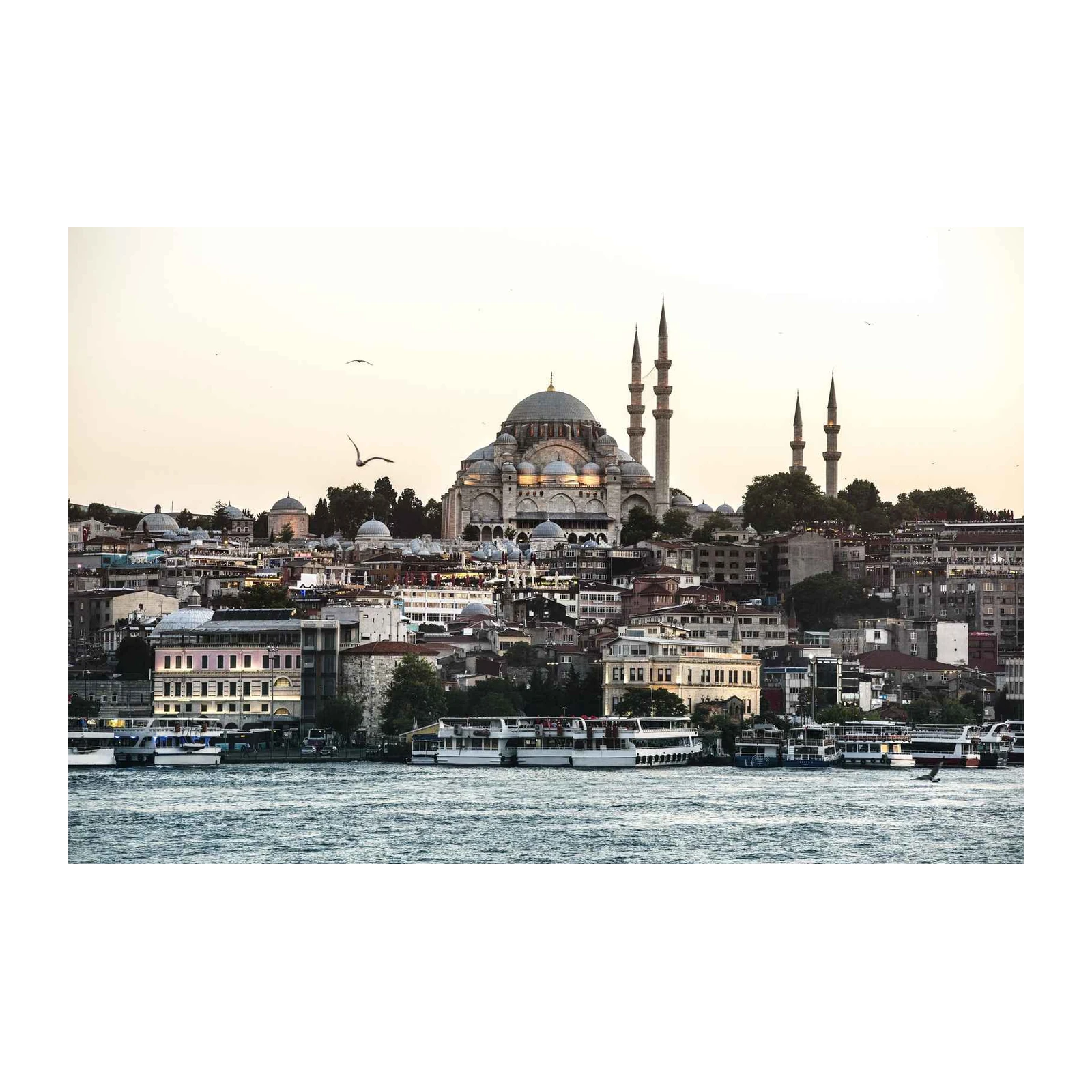 Istanbul Skyline Mosque Seagulls Wall Art
