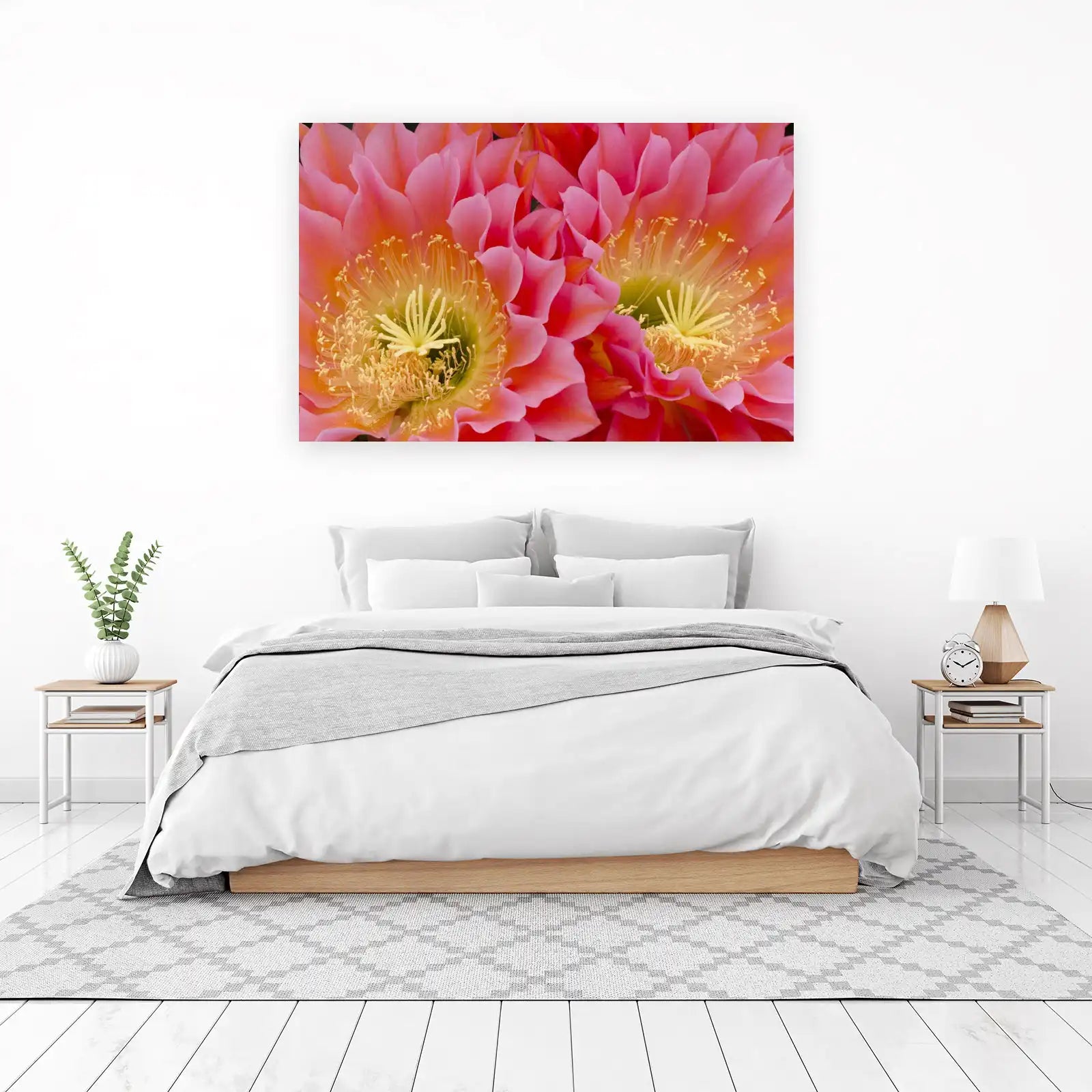 Vibrant Pink Cactus Flower Wall Art Wall Art