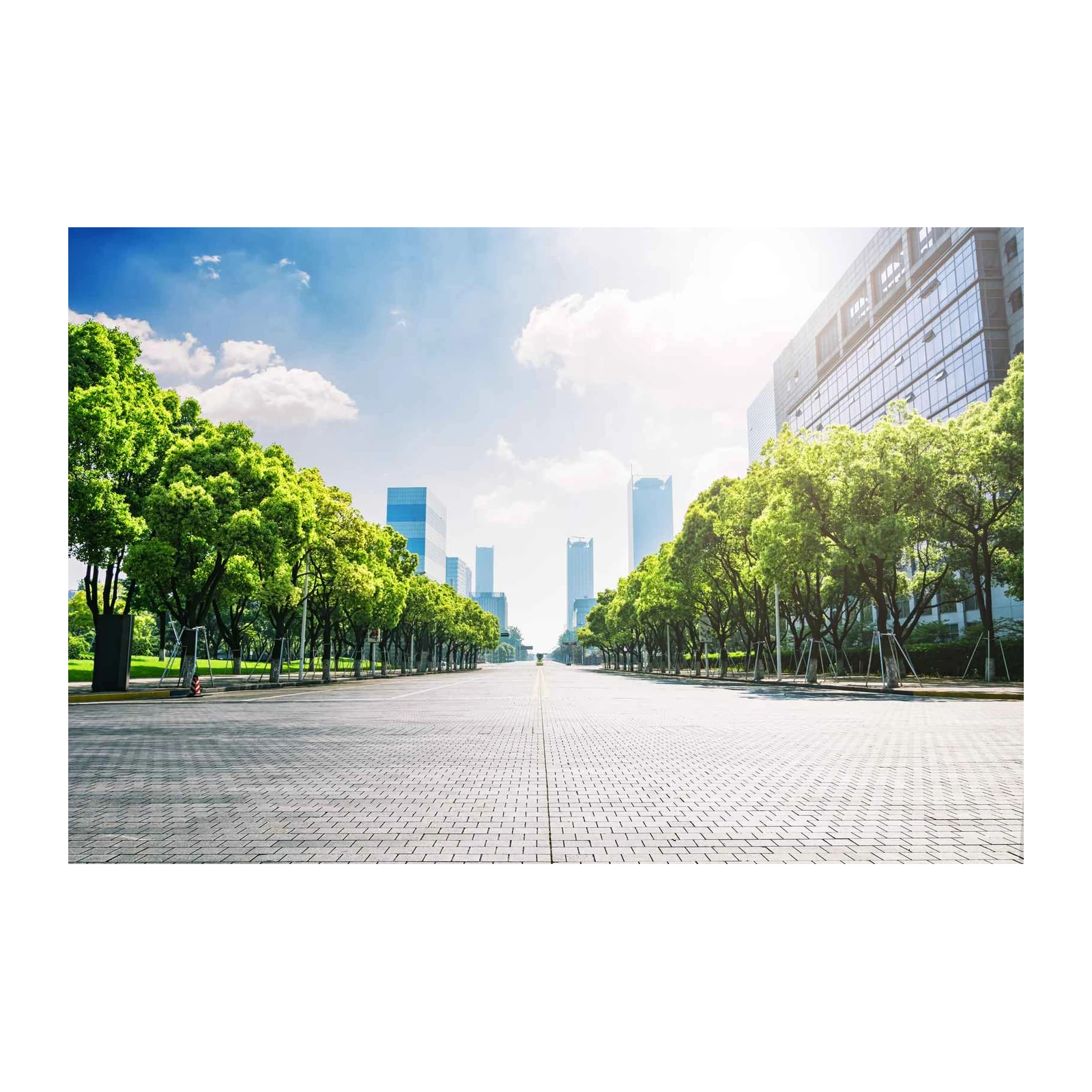 Urban Oasis Landscape Wall Art