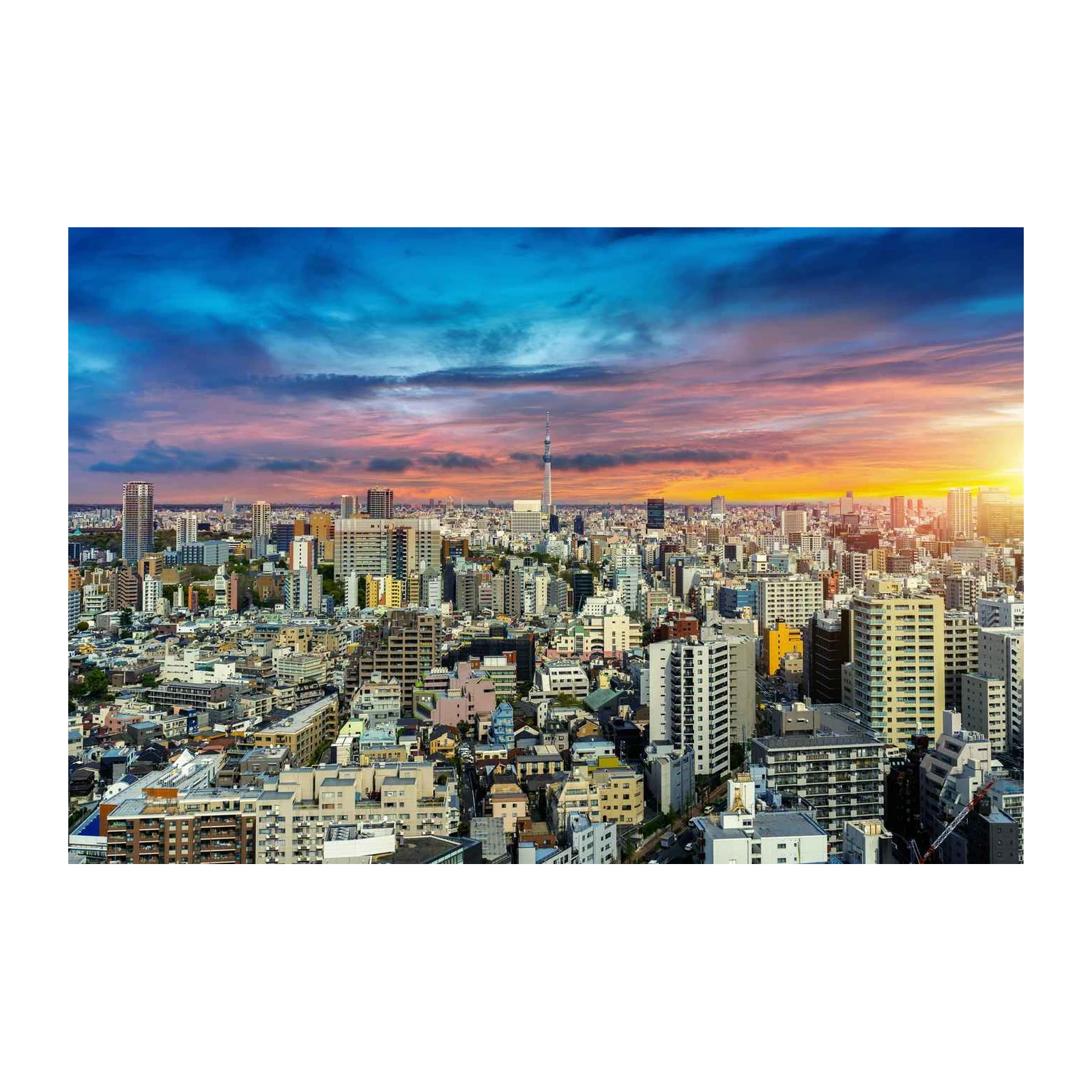 Tokyo Skyline Sunset Wall Art