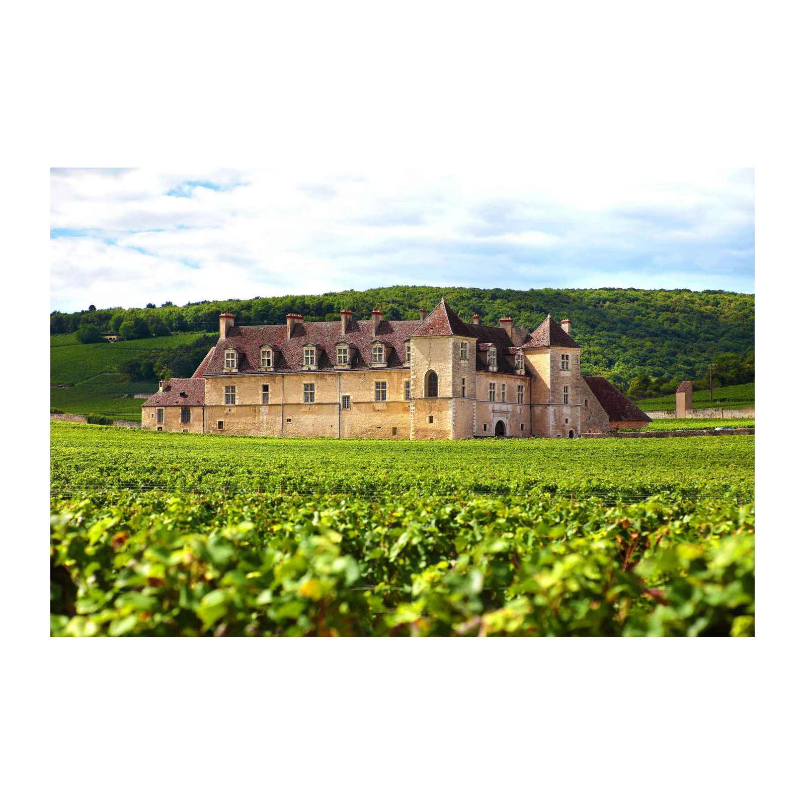 French Chateau Vineyard Landscape Wall Art
