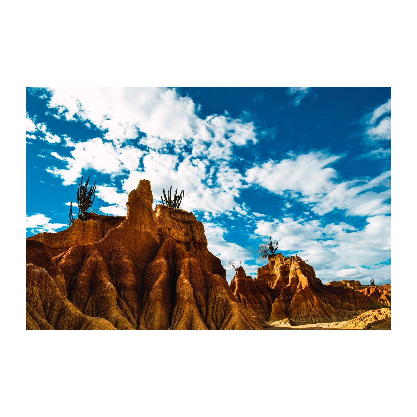 Desert Landscape Cacti Wall Art