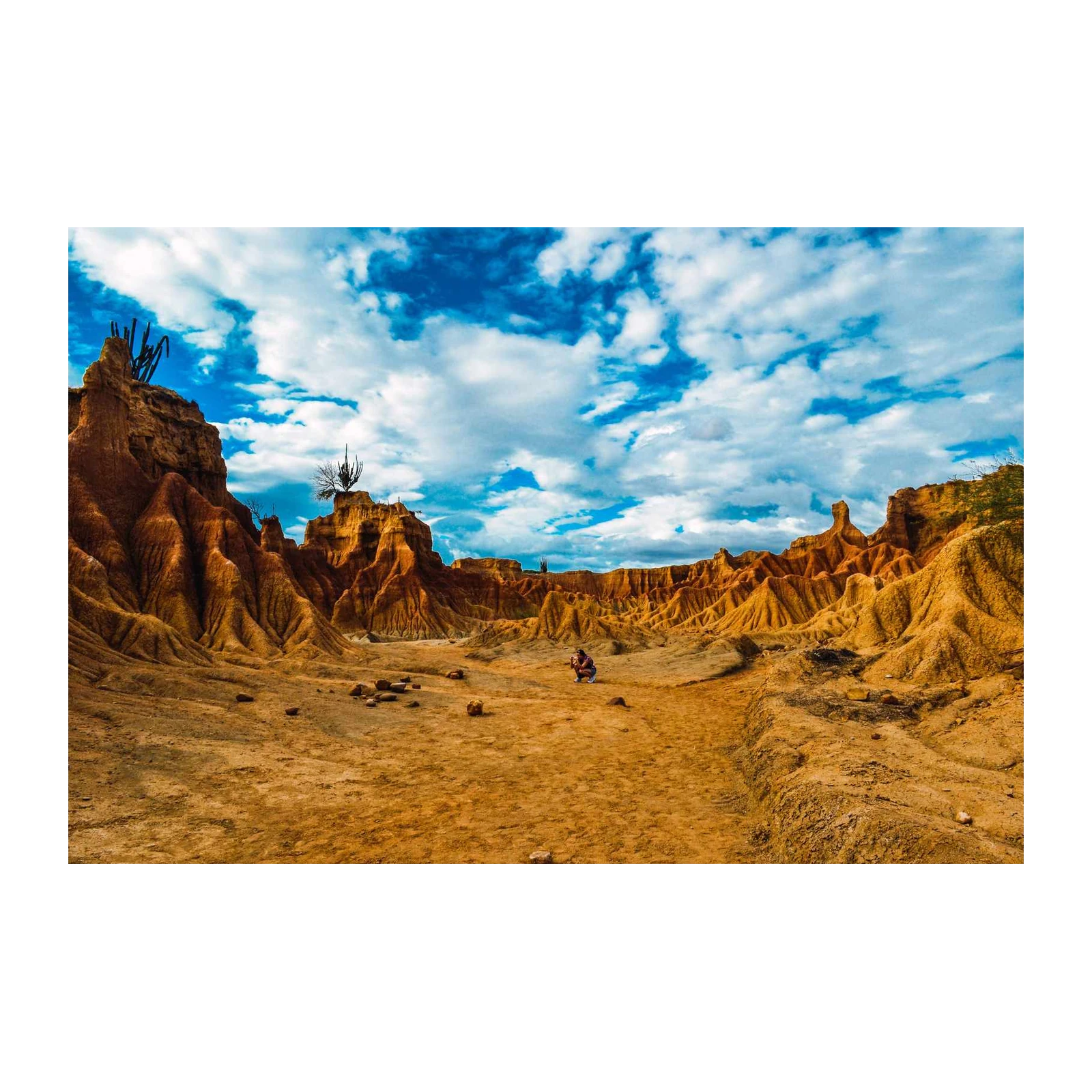 Desert Landscape Majestic Cactus Wall Art