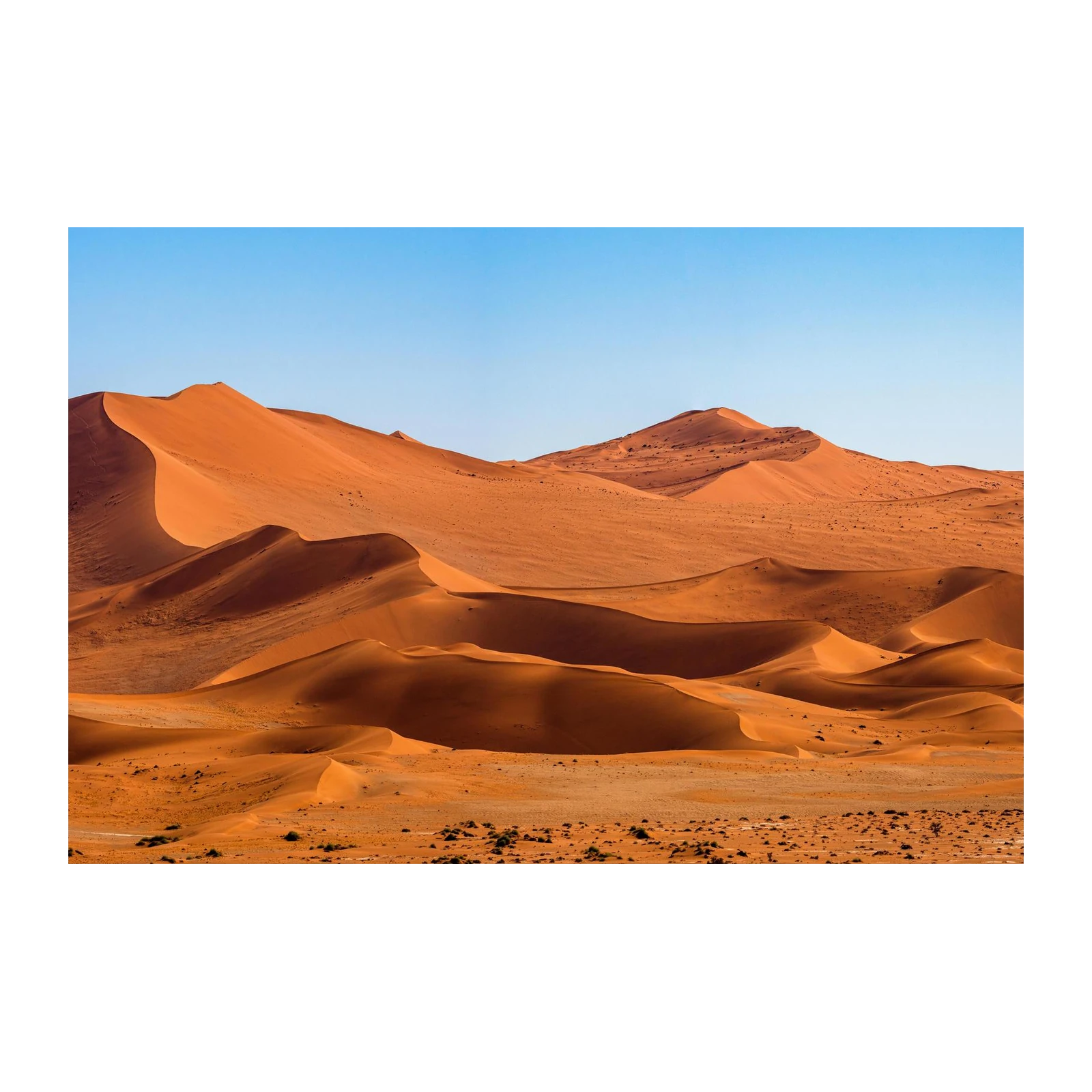 Serene Desert Dunes Wall Art